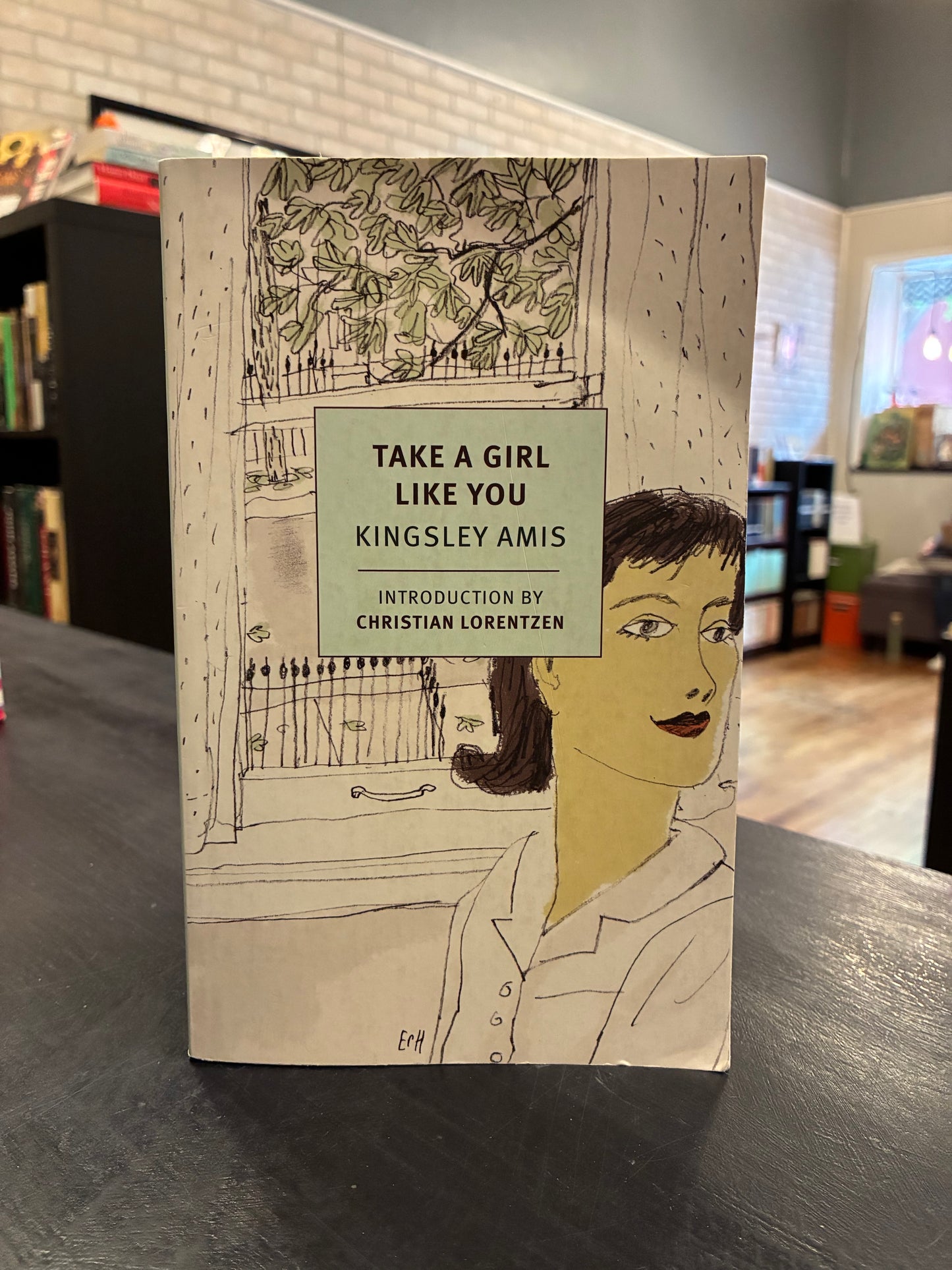 Take a Girl Like You - Kingsley Amis