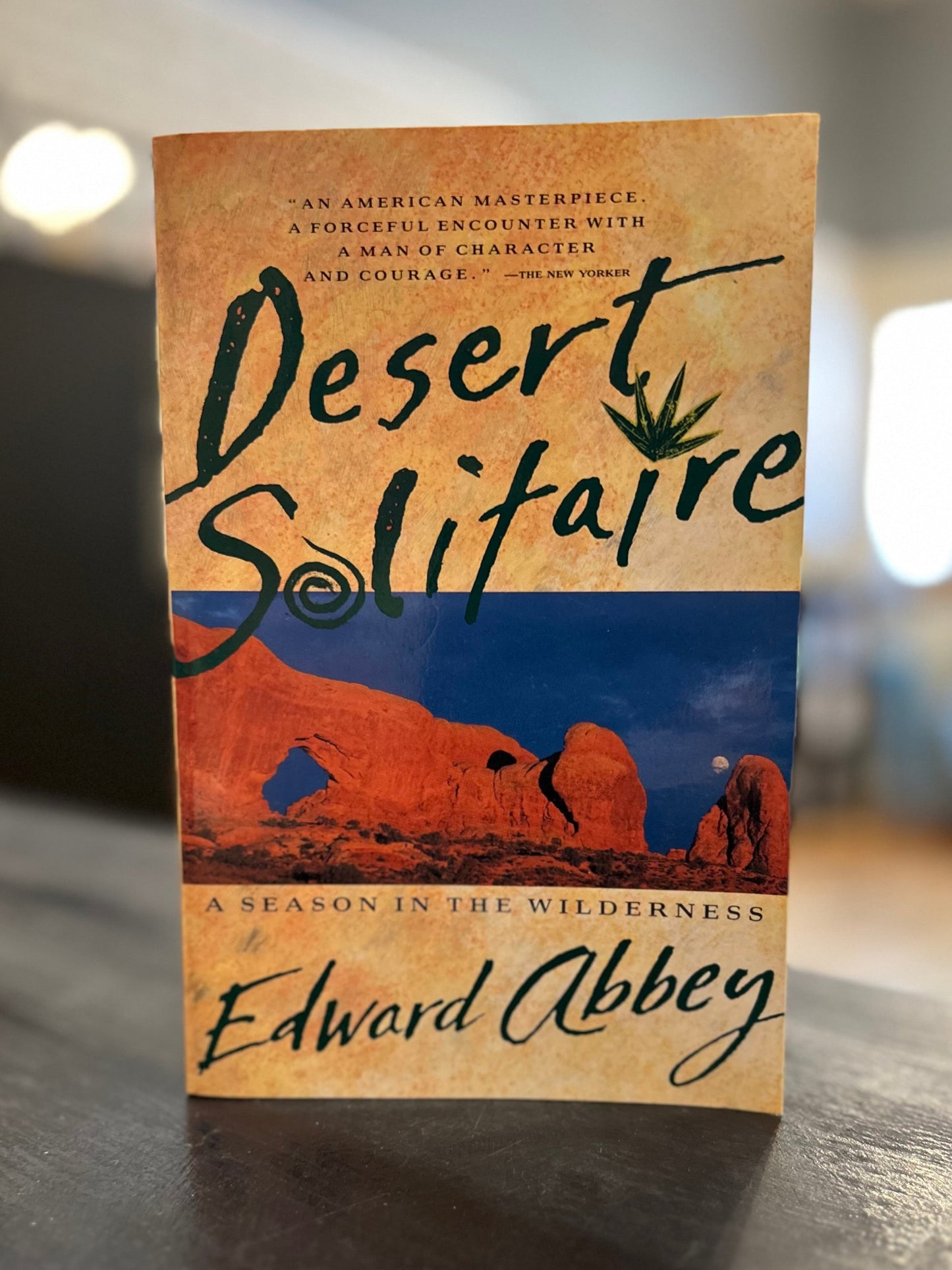 Desert Solitaire -  Edward Abbey