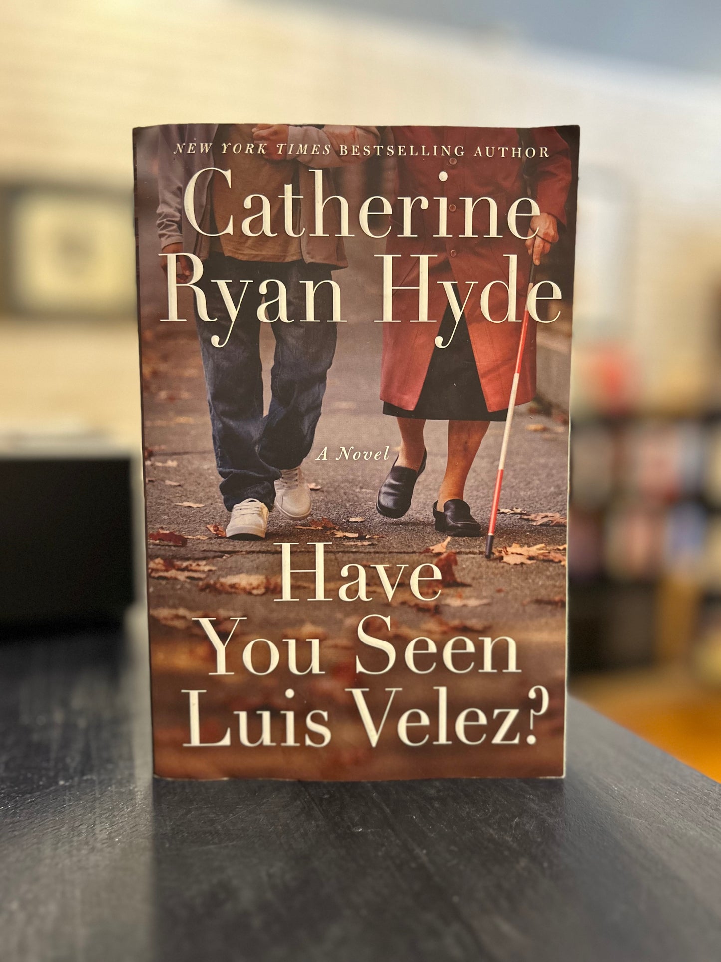 Have You Seen Luis Velez? by Catherine Ryan Hyde