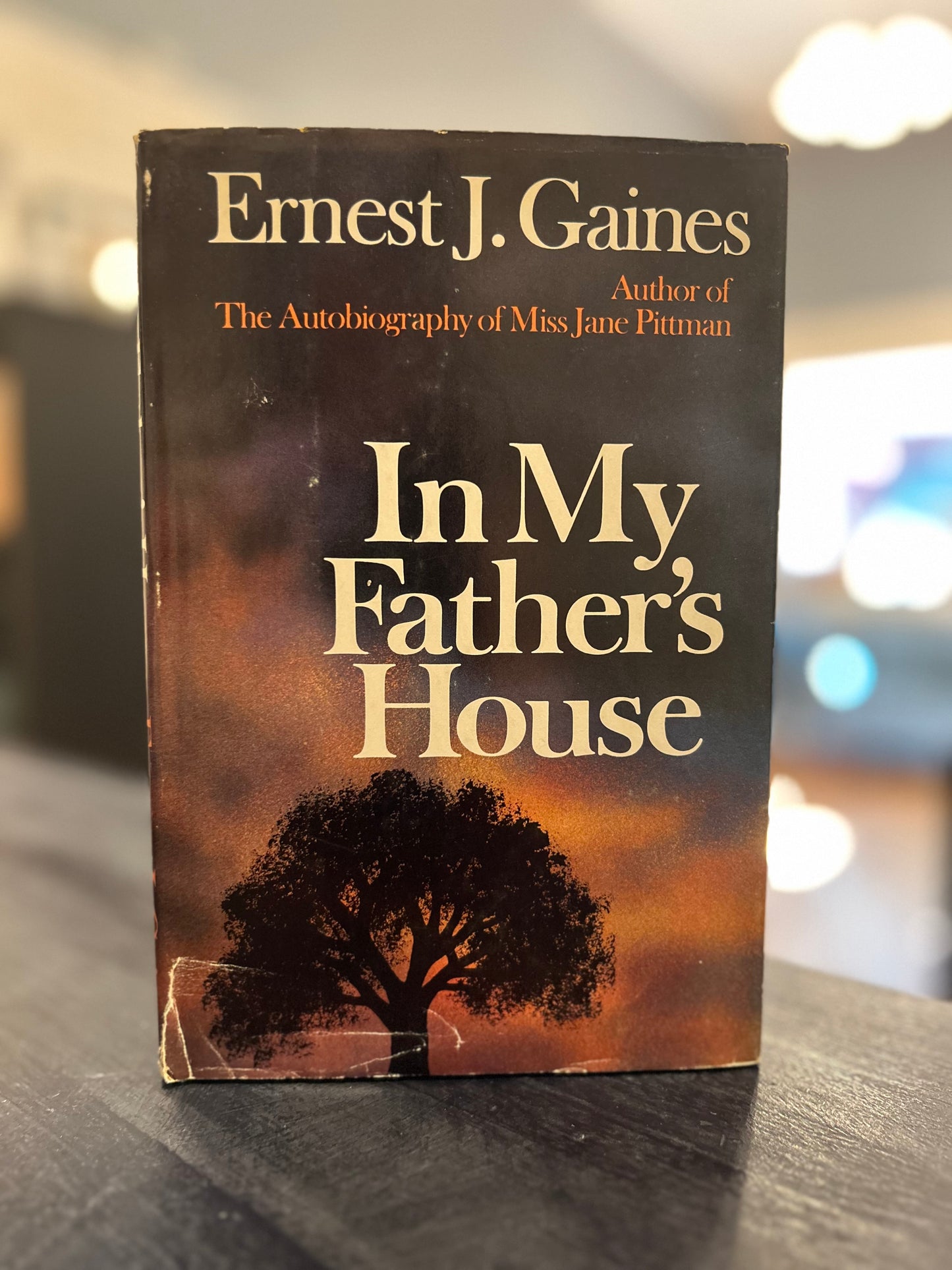 IN My Father's House - Ernest J. Gaines