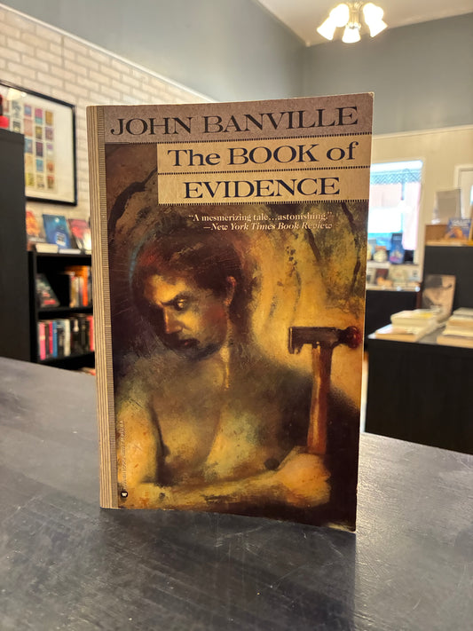 The Book of Evidence - John Banville
