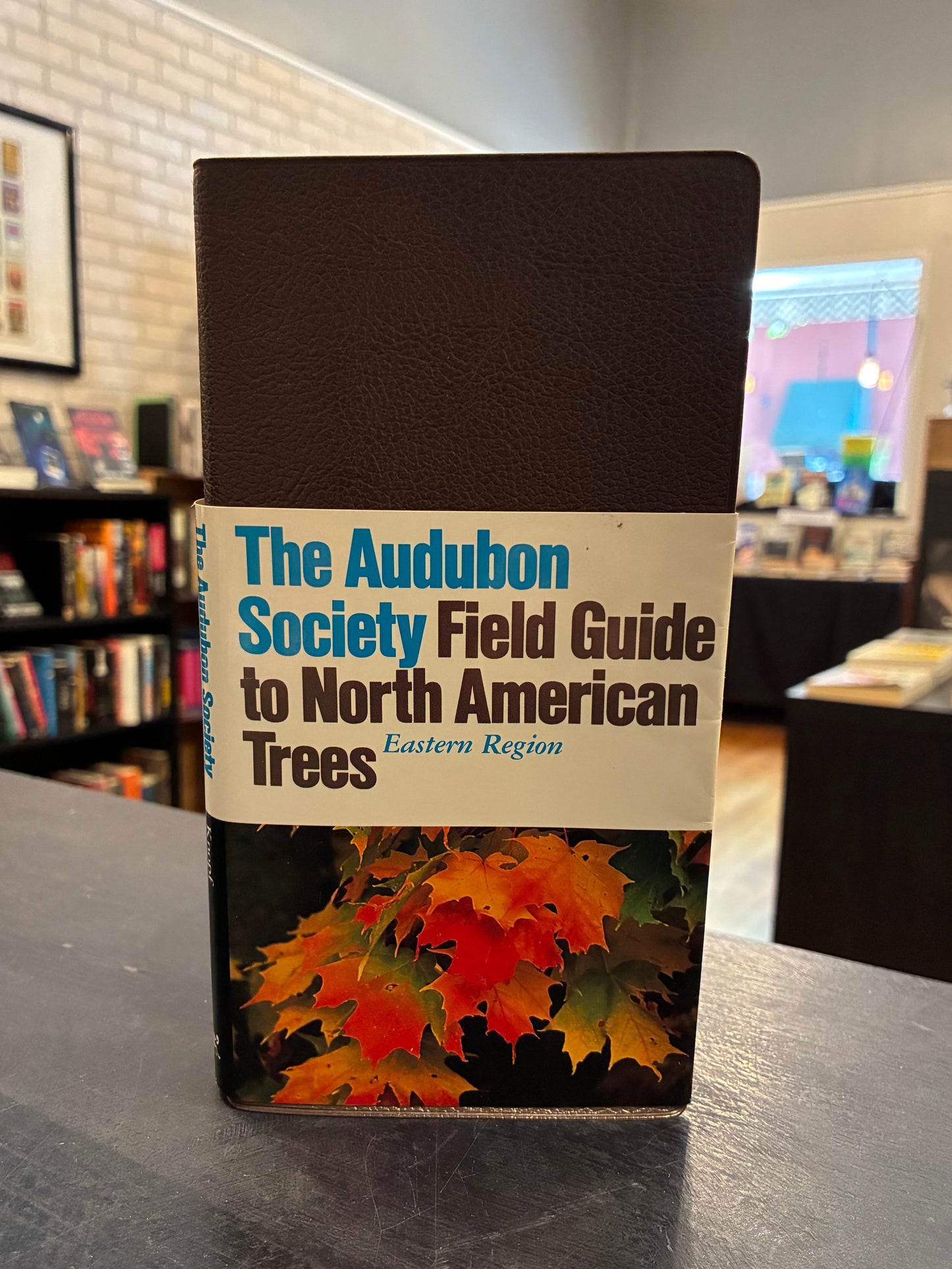 The Audubon Society Field Guide to North American Trees