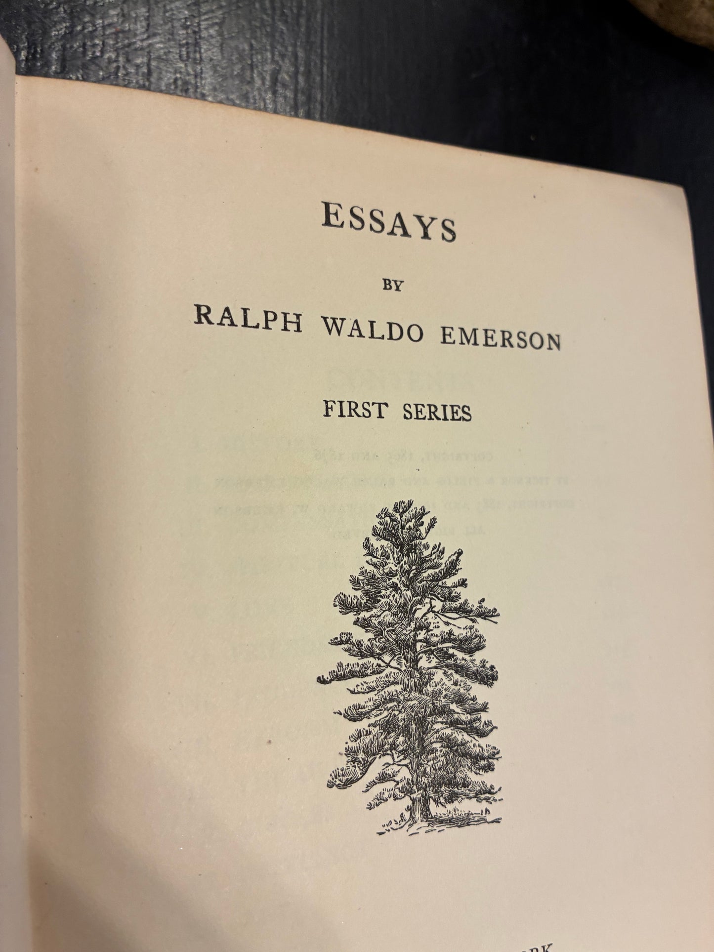 Essays - Ralph Waldo Emerson - hardcvoer