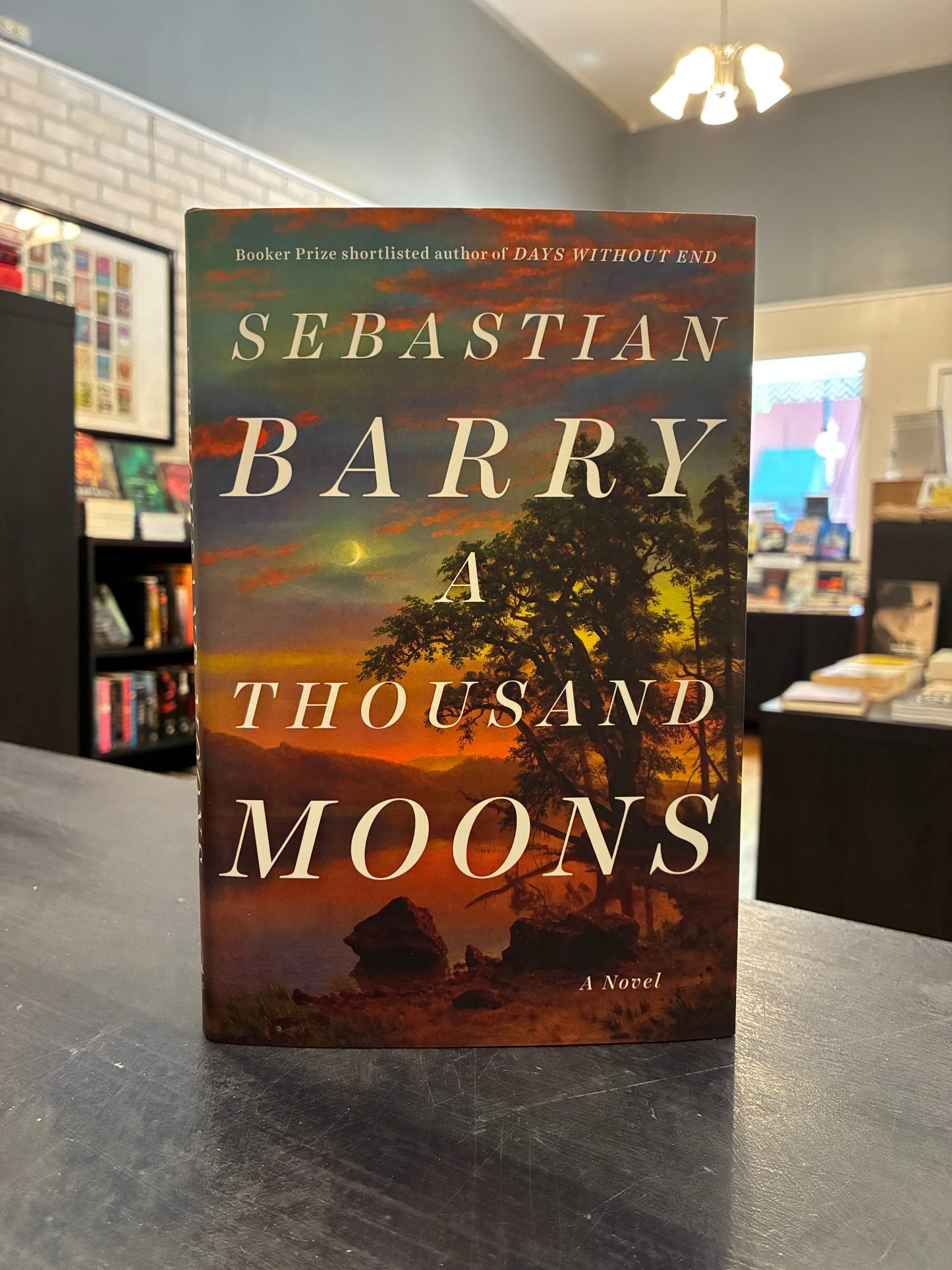 A Thousand Moons -  Sebastian Barry