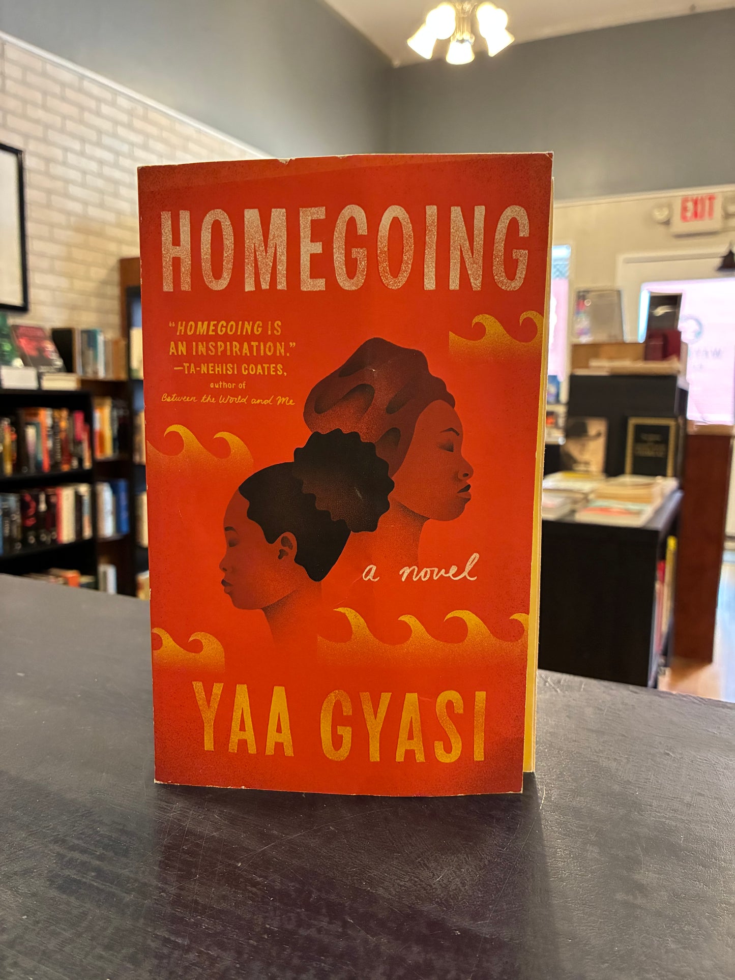 Homegoing  - Yaa Gyasi
