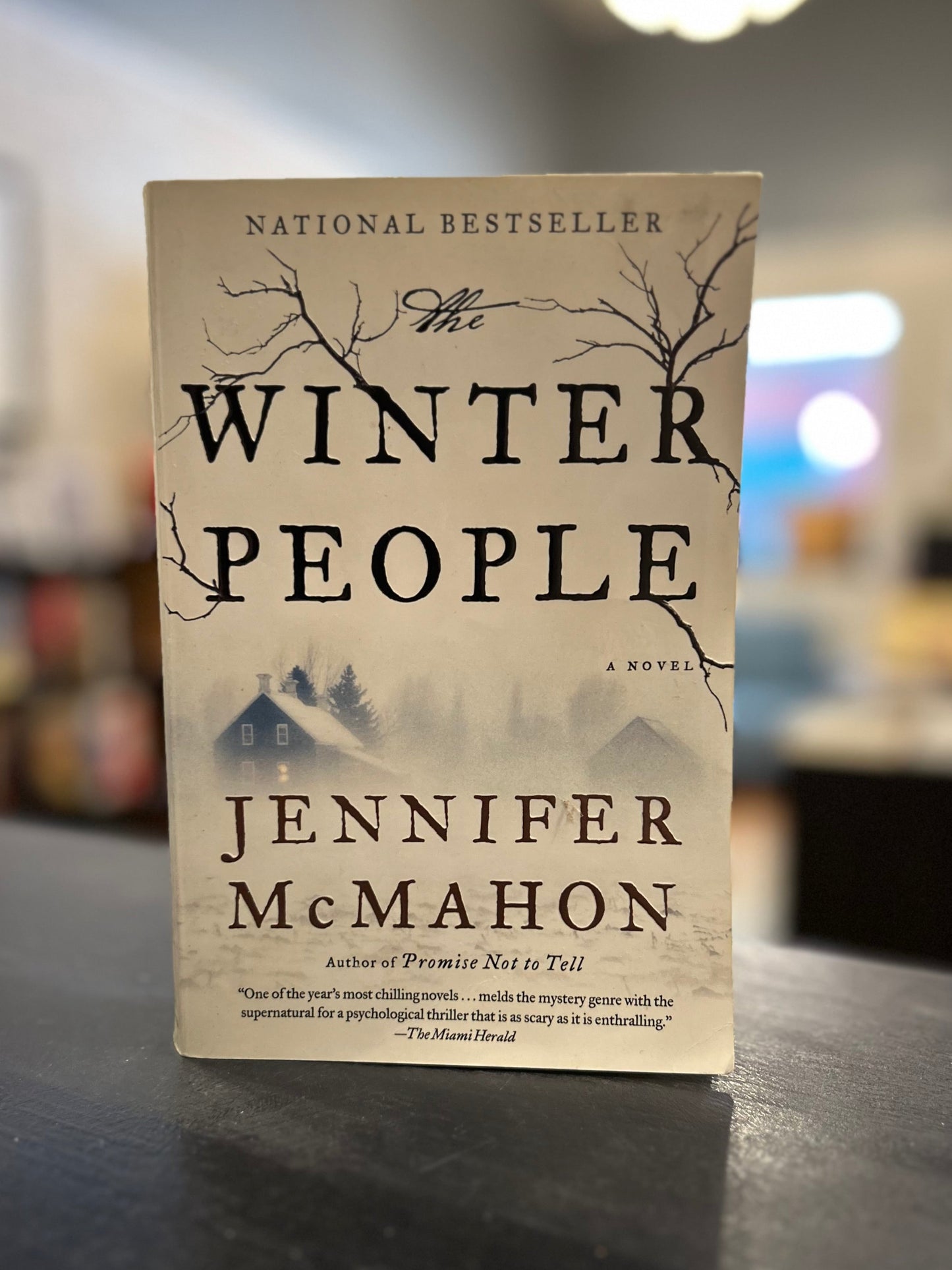 The Winter People - Jennifer McMahon