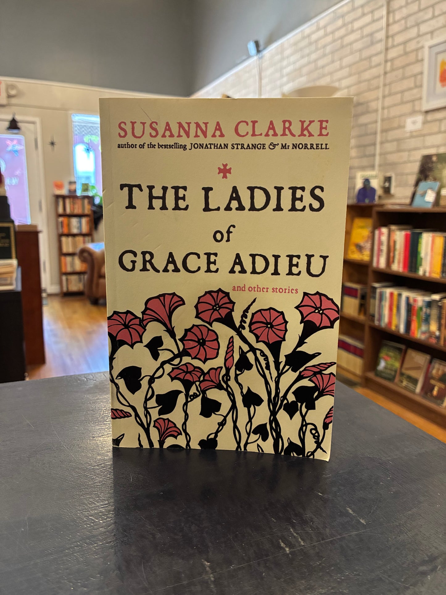 The Ladies of Grace Adieu -  Susanna Clarke