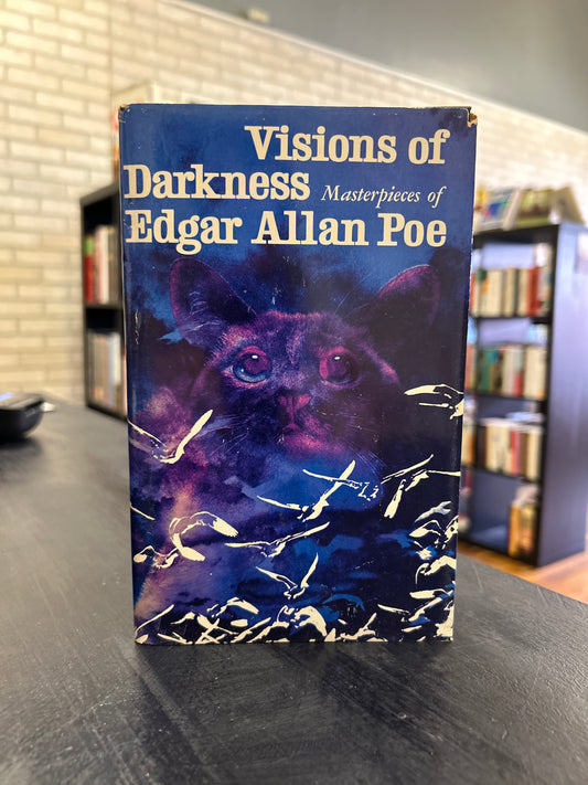 Visions of Darkness' by Edgar Allan Poe