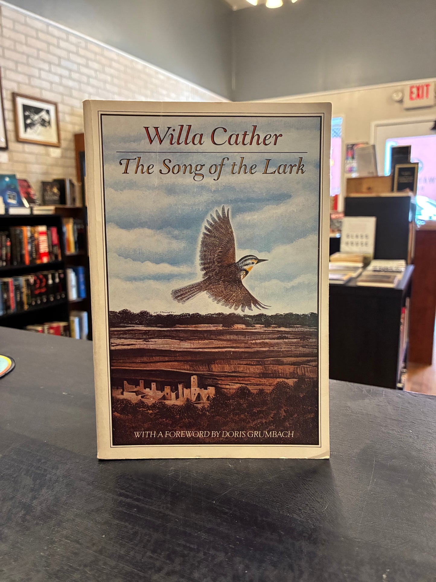 Song of the Lark - Willa Cather