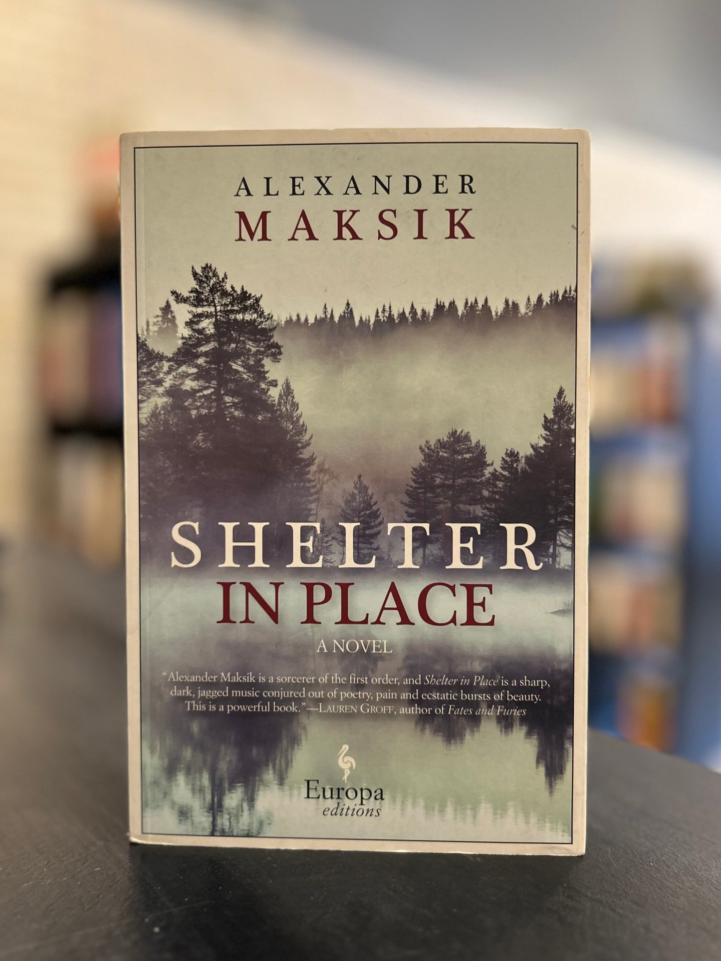Shelter in Place - Alexander Maksik