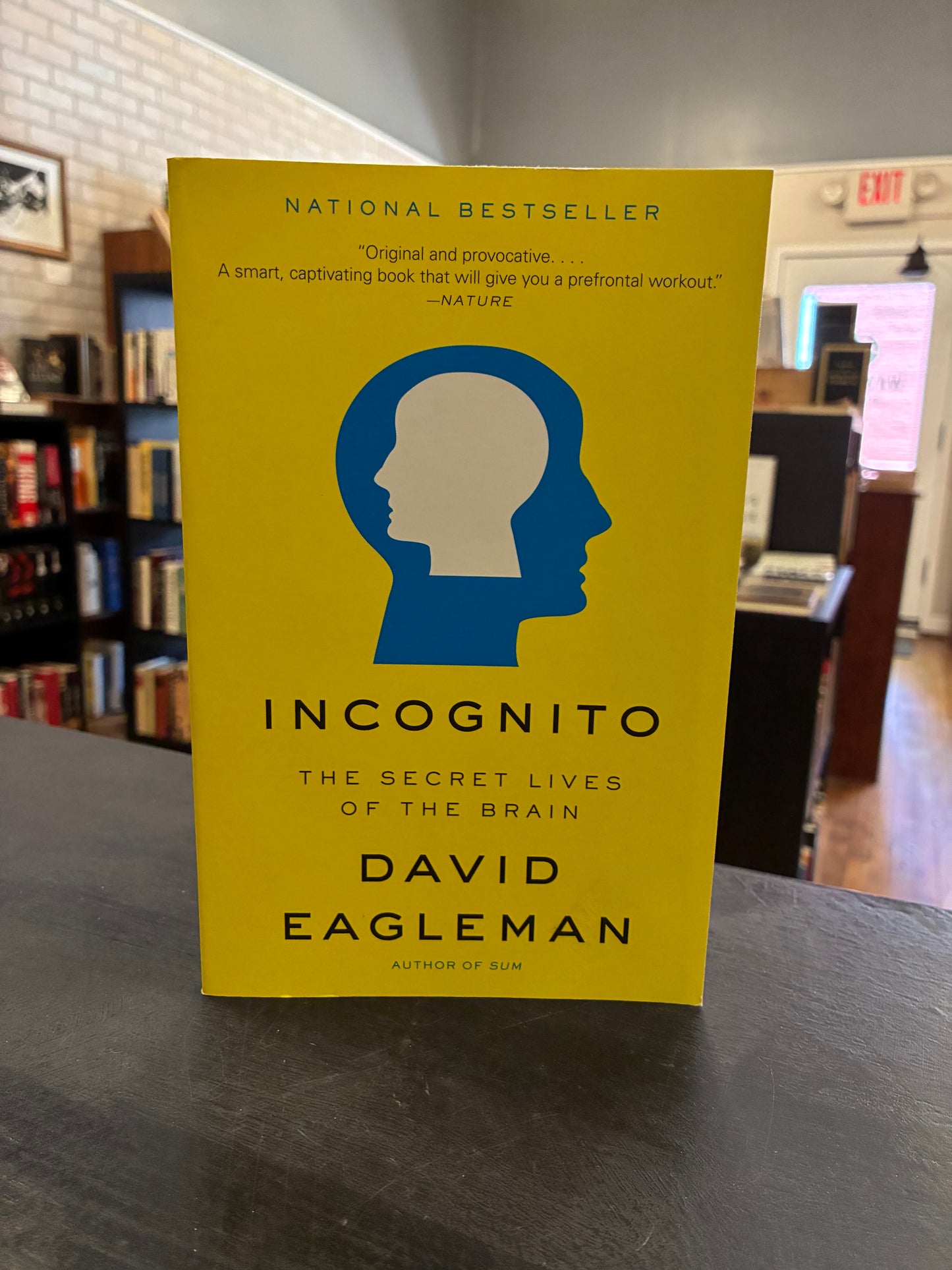 Incognito: The Secret Lives of the Brain -  David Eagleman