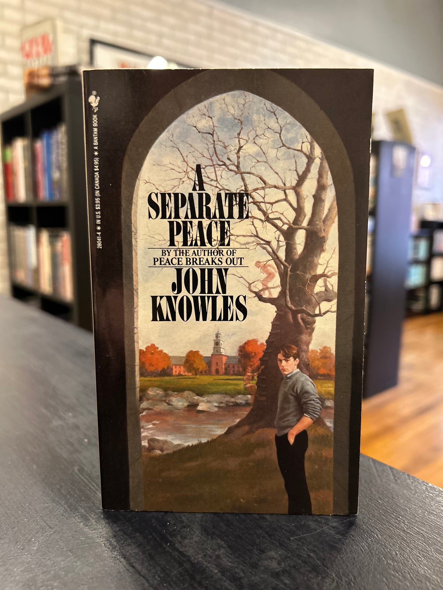 A separate Peace - John Knowles