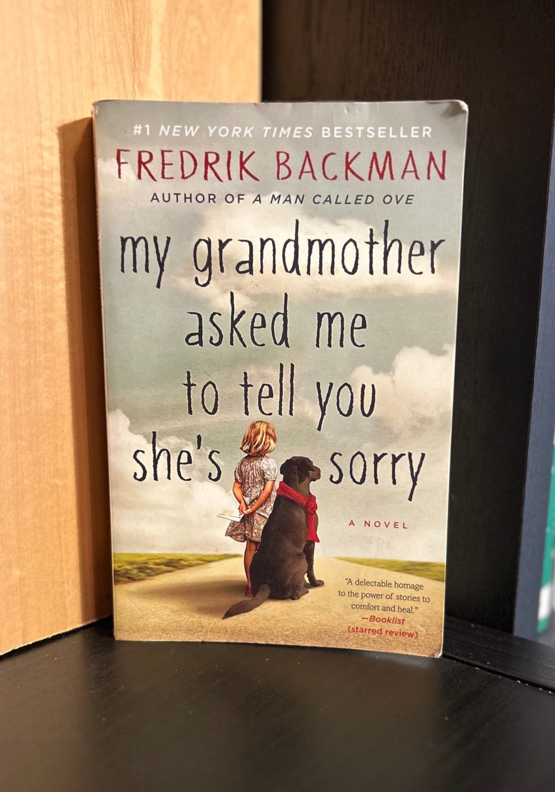 My Grandmother Asked Me to Tell You She's Sorry - Fredrik Backman