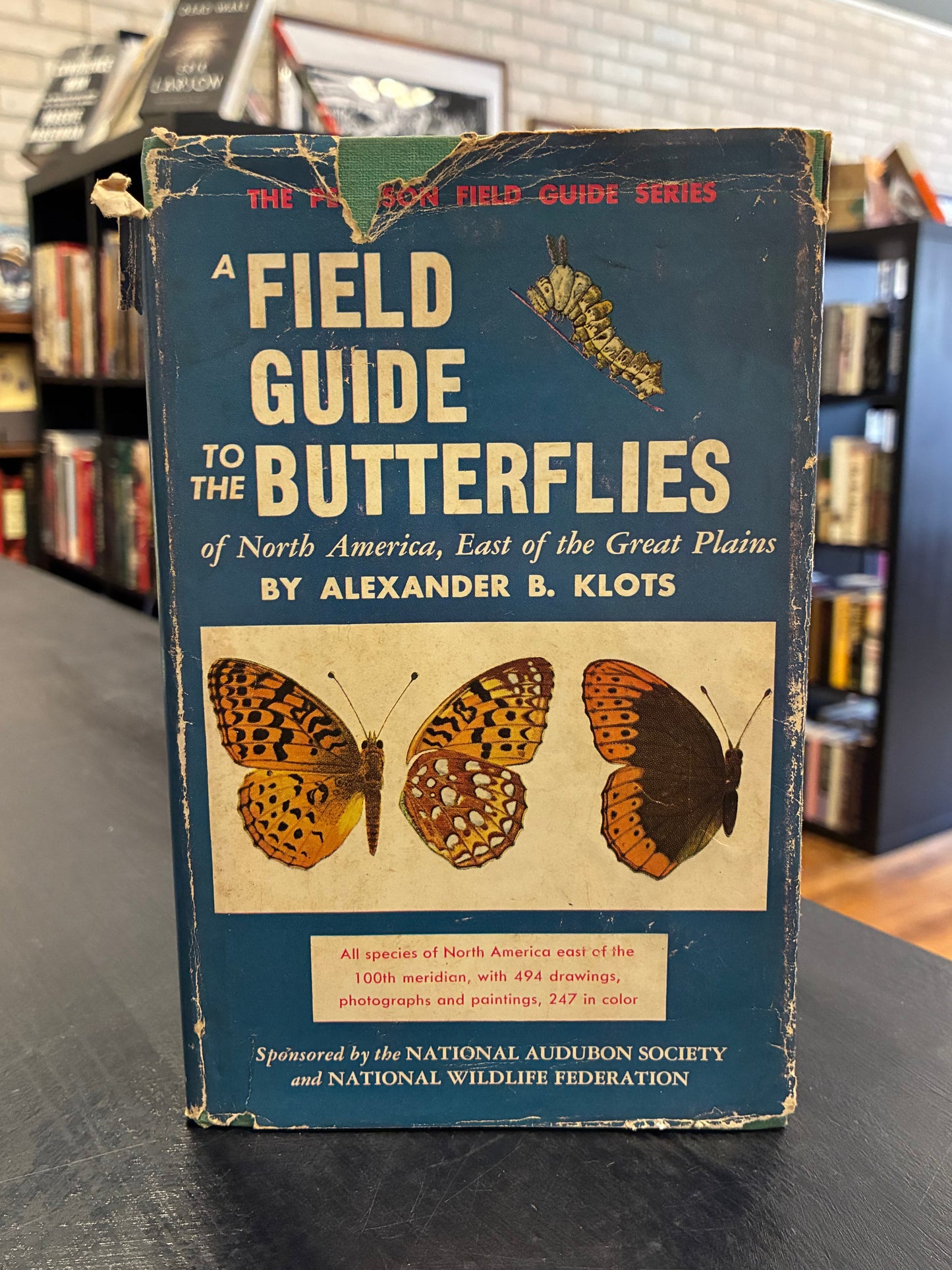 A Field Guide to the Butterflies of North America ...