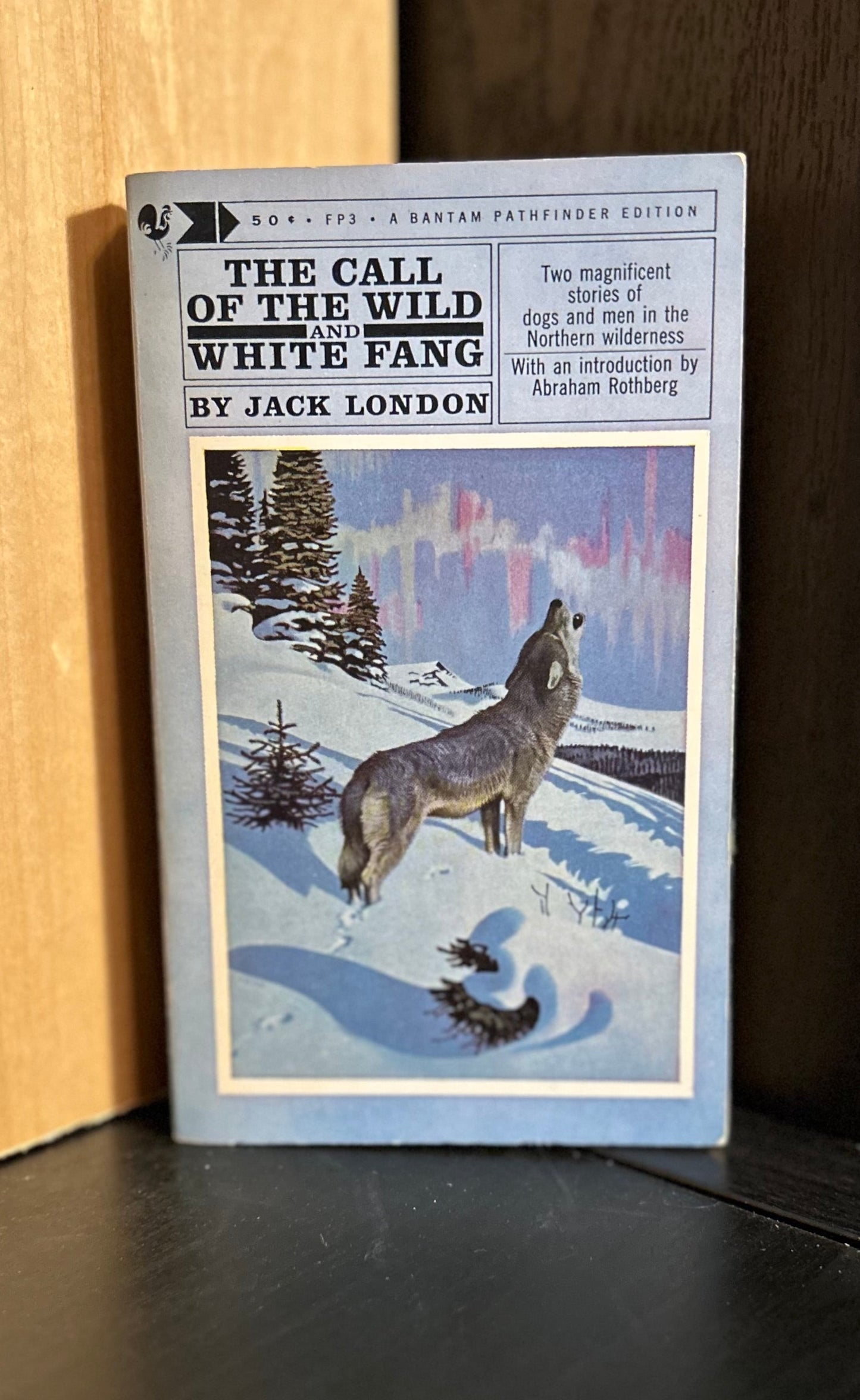 Call of the Wild and White Fang - Jack London
