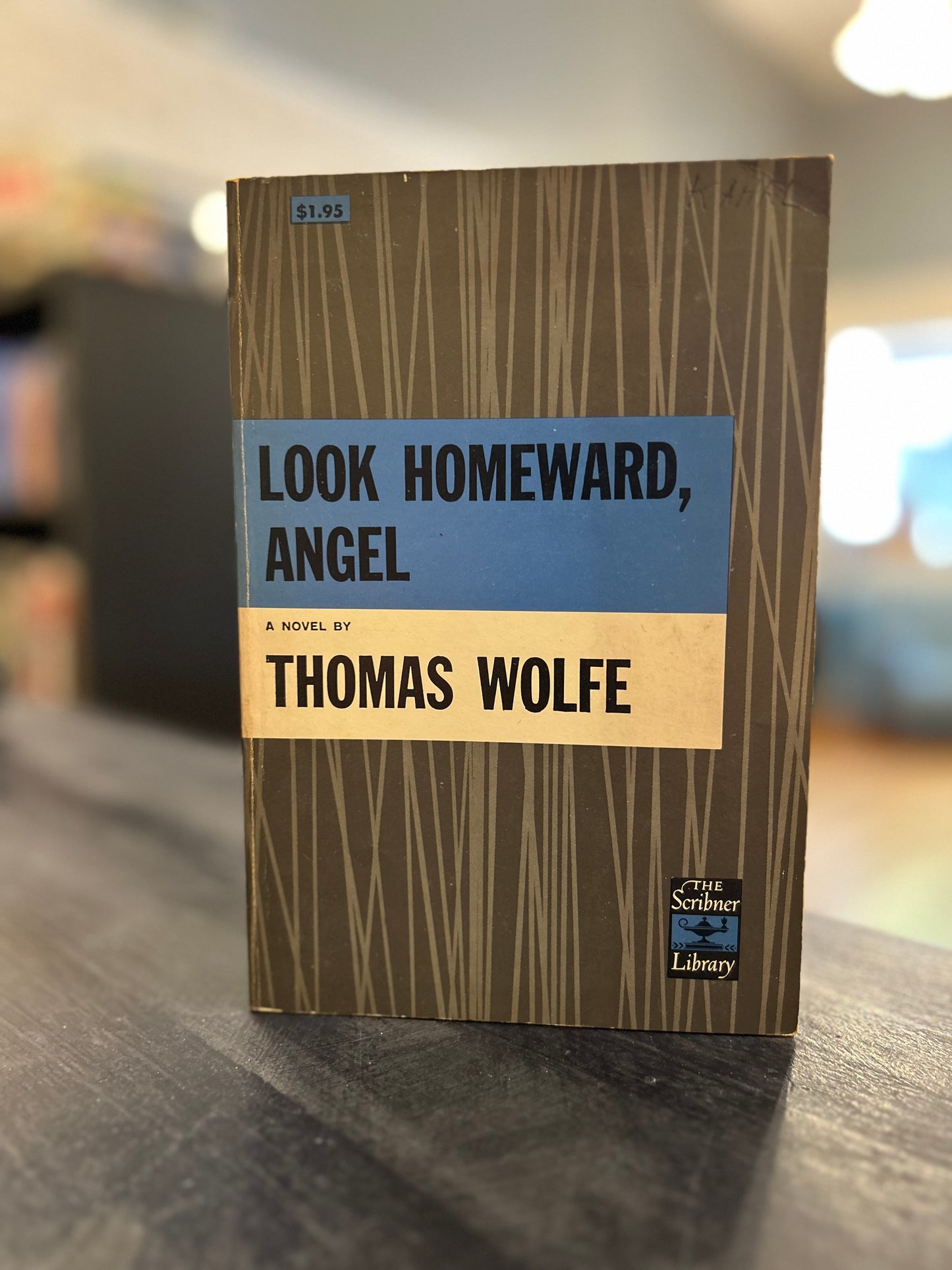 Look Homeward, Angel by Thomas Wolfe