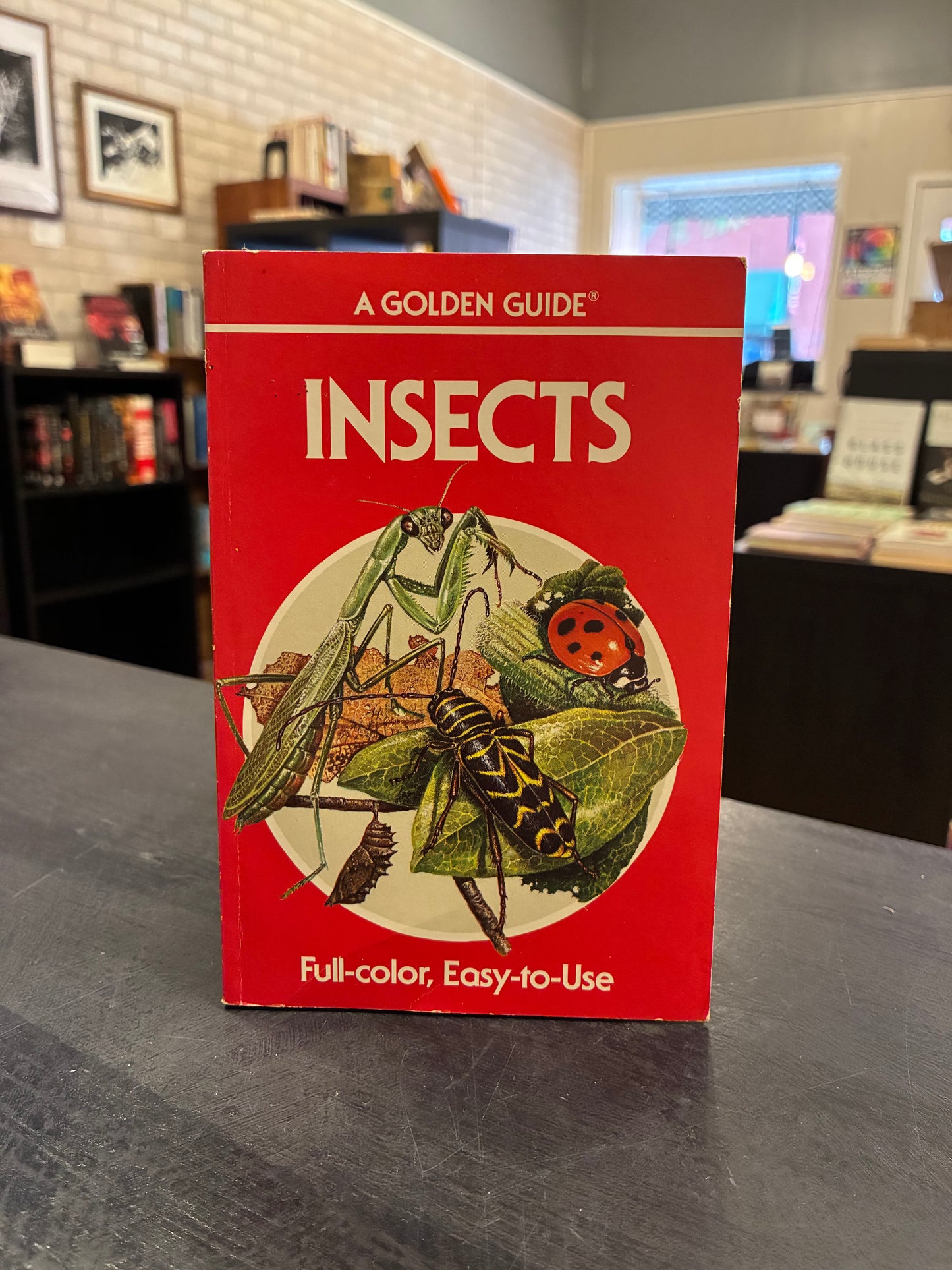 Insects  -  Golden Guides