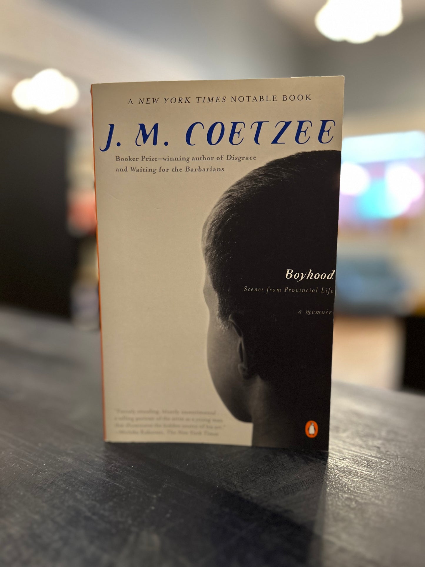 Boyhood by J.M. Coetzee