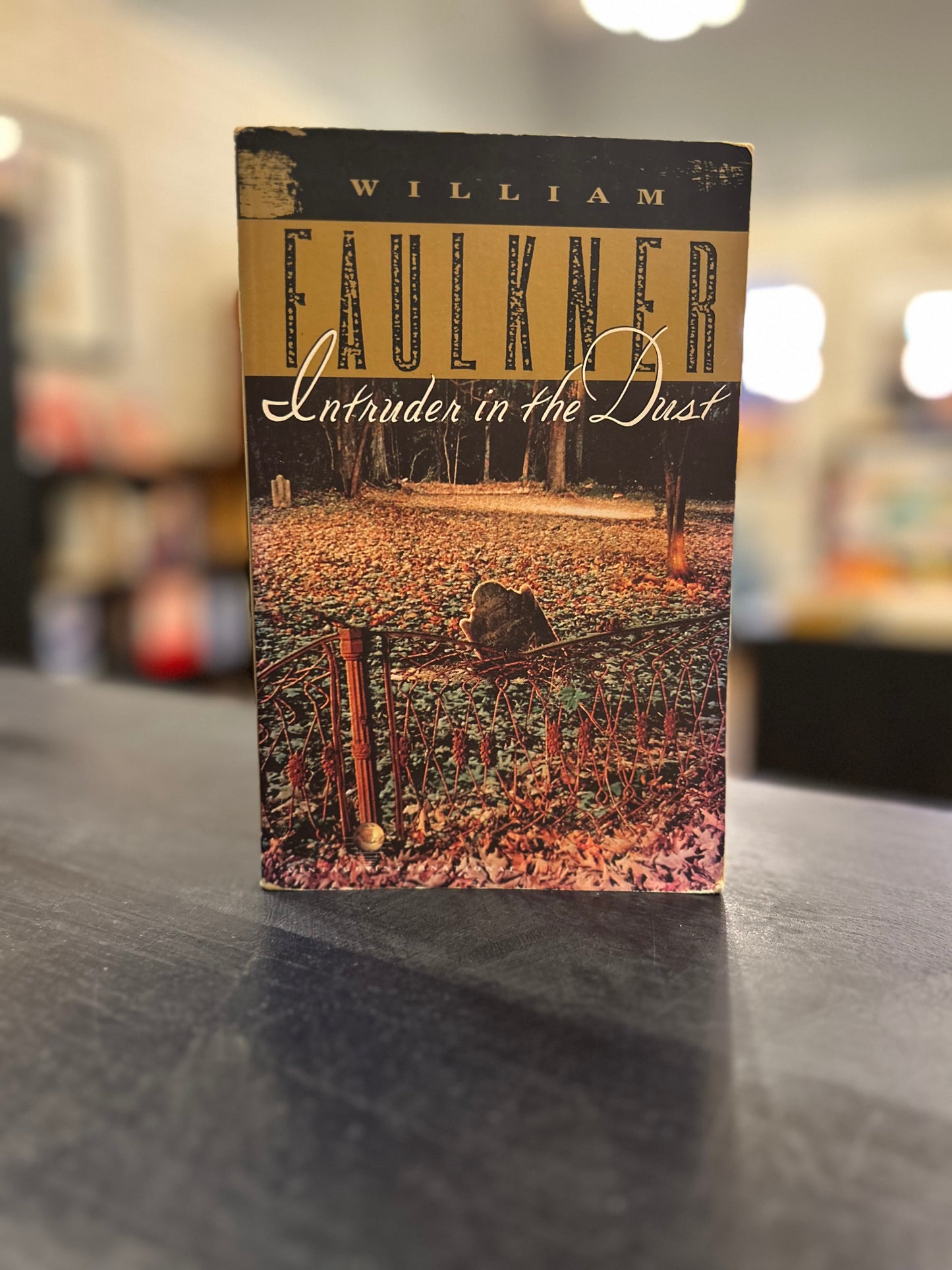 Intruder in the Dust - William Faulkner