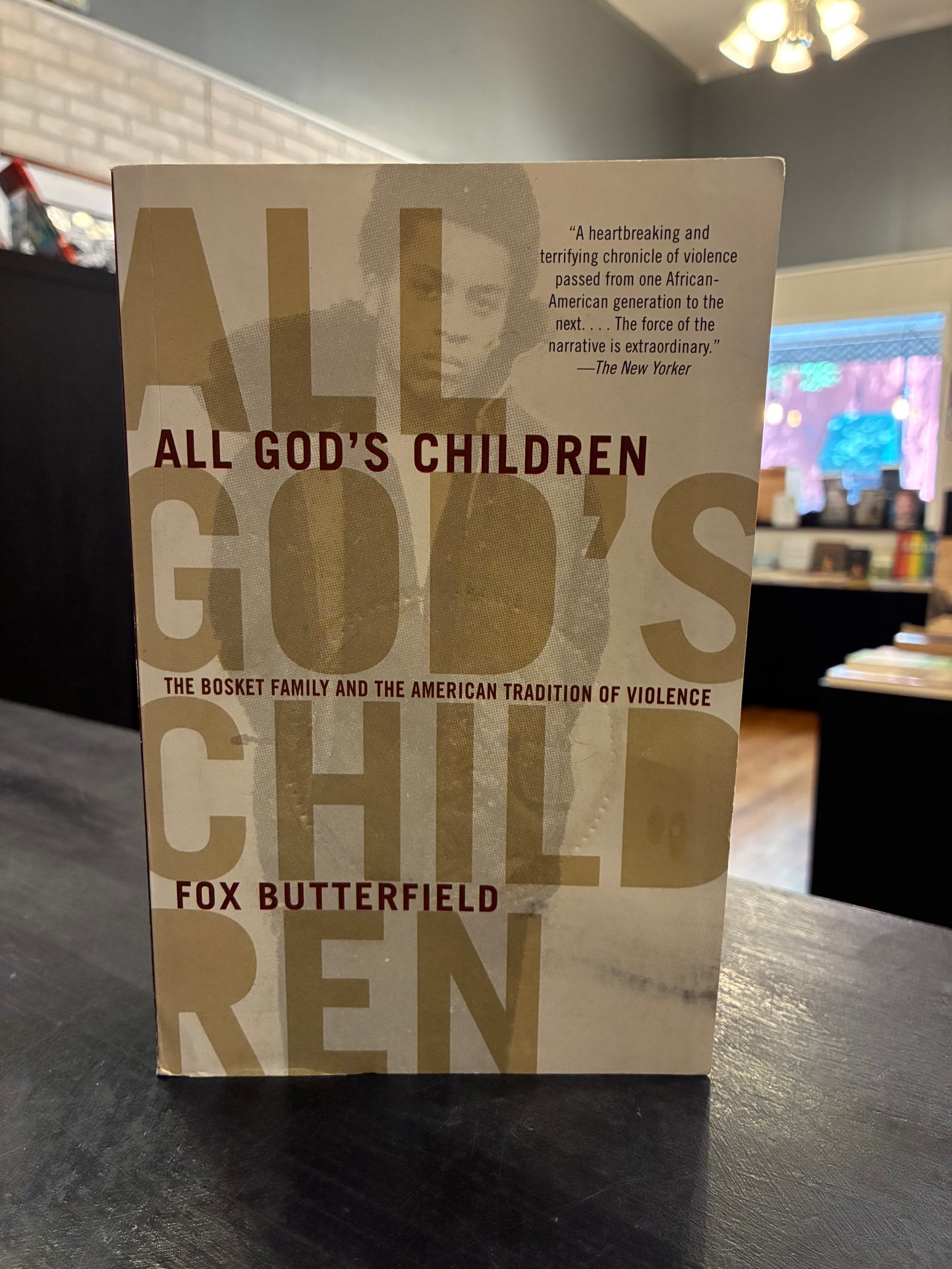 All God's Children - Fox Butterfield