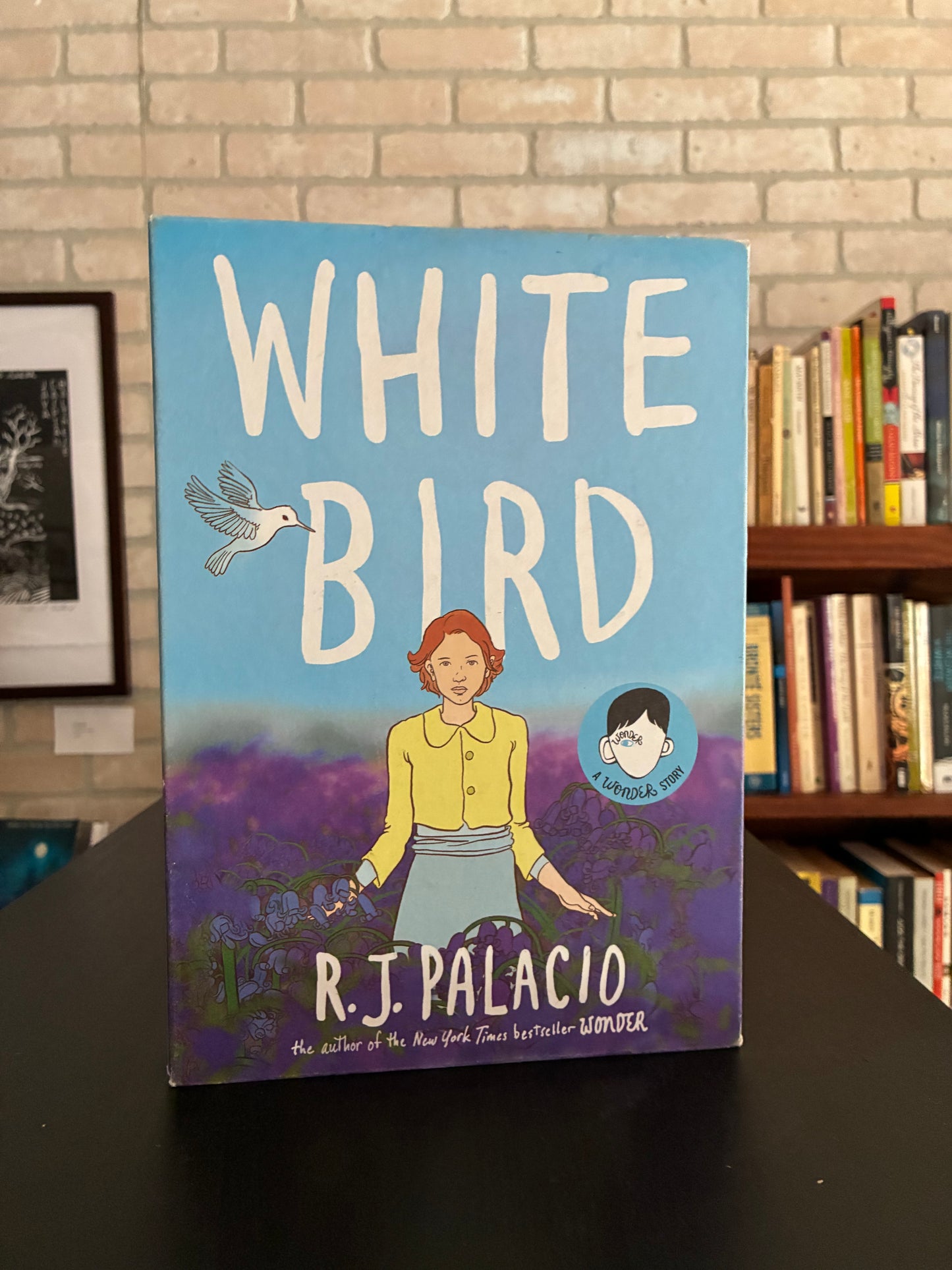 White Bird - R.J. Palacio