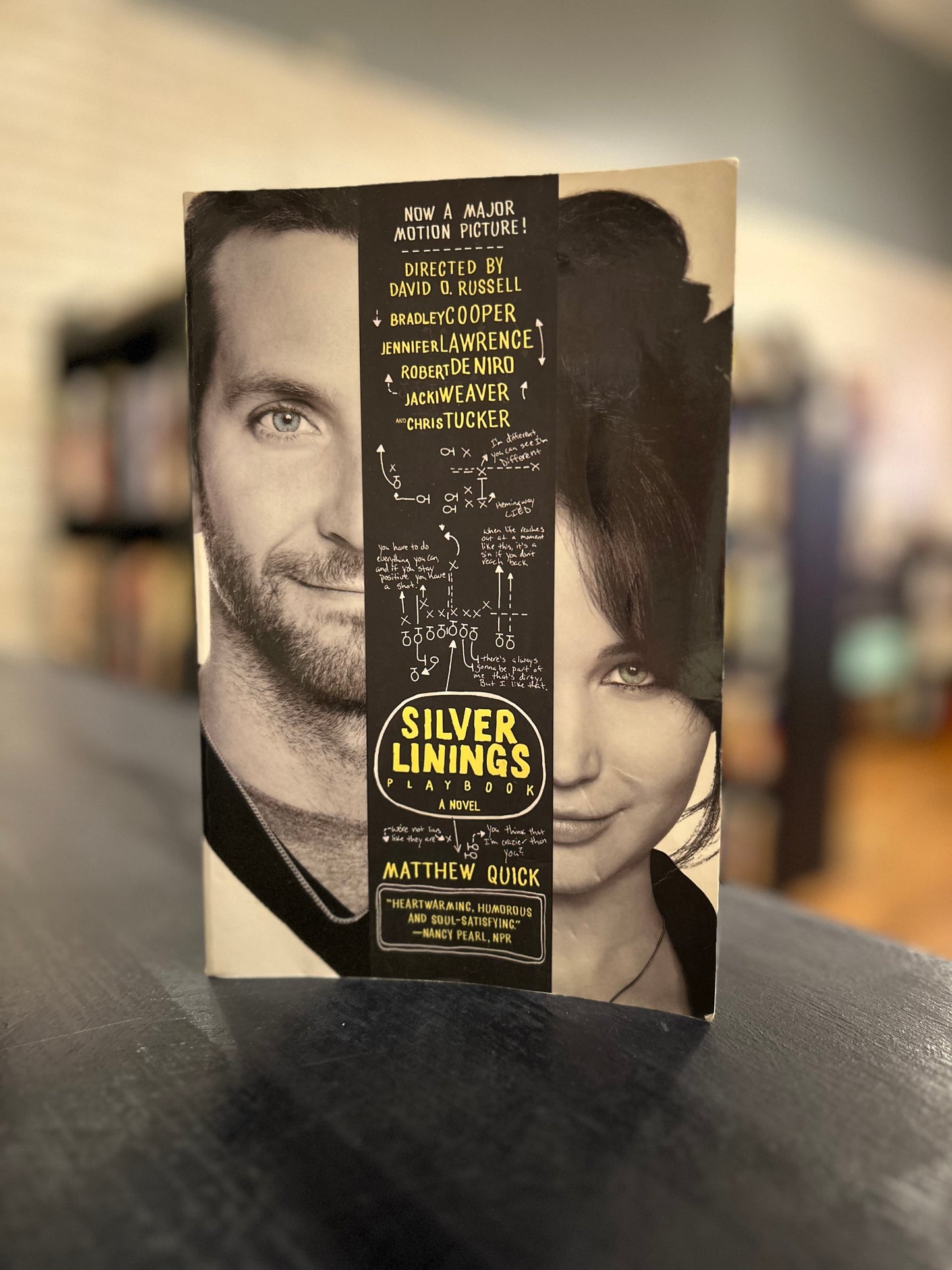 Silver Linings Playbook - Matthew Quick