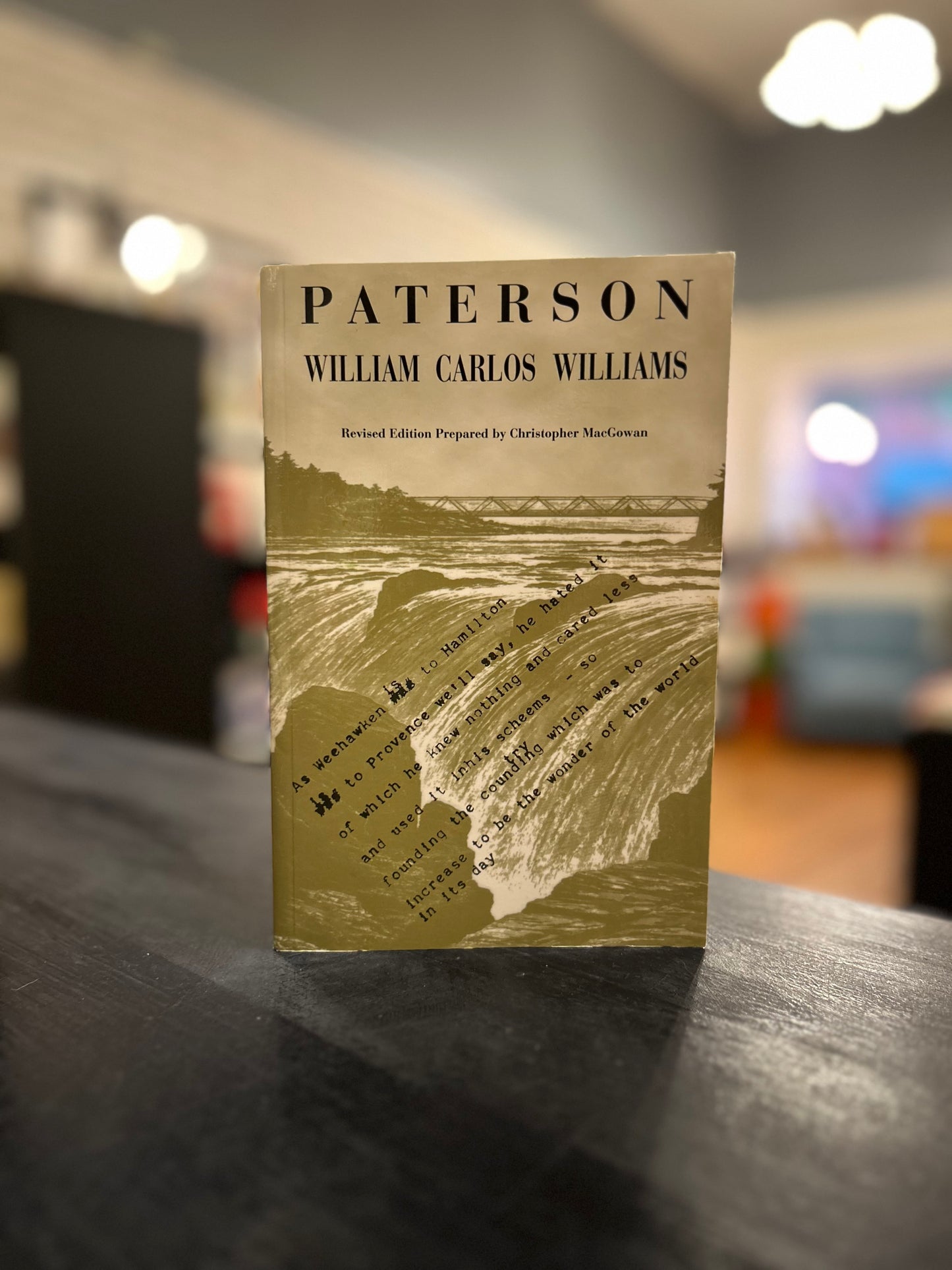 Paterson by William Carlos Williams