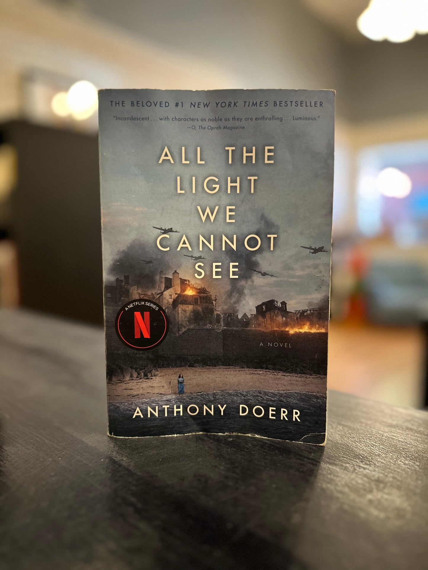 All the Light We Cannot See by Anthony Doerr - Netflix cover