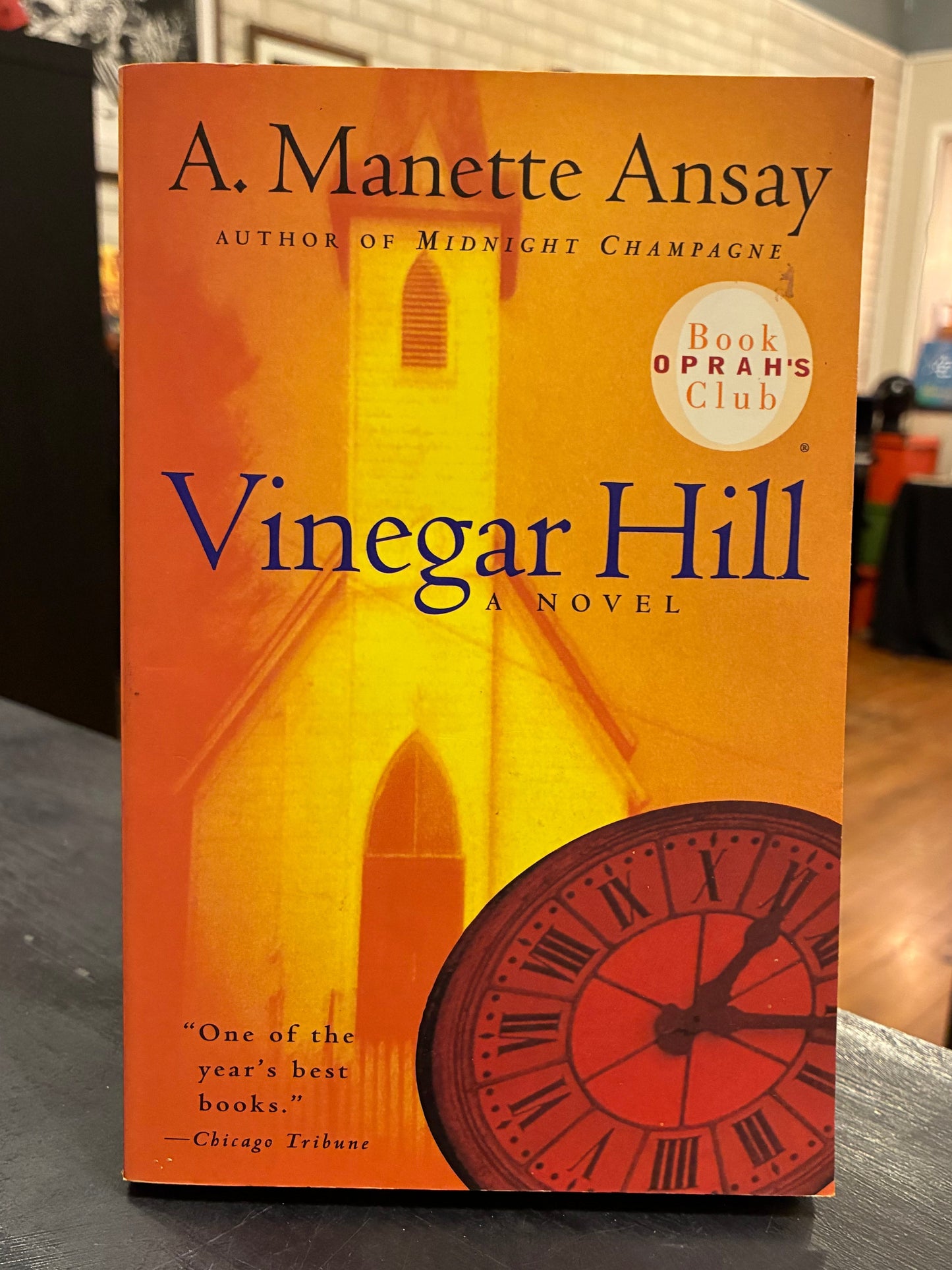 Vinegar Hill by A. Manette Ansyay
