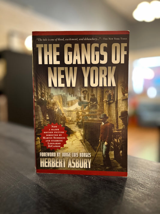 The Gangs Of New York - Herbert Asbury