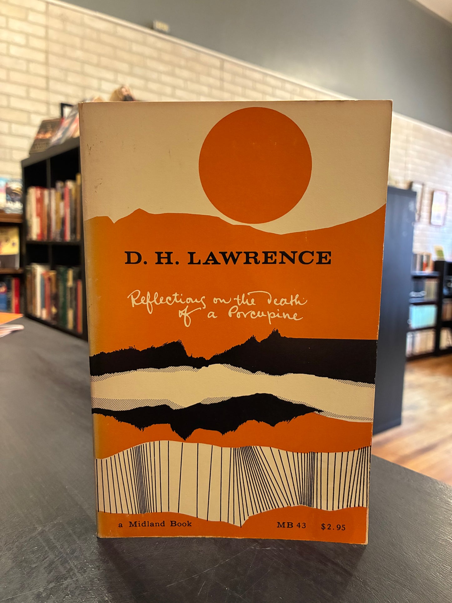 Reflections on the death of a Porcupine - DH Lawrence