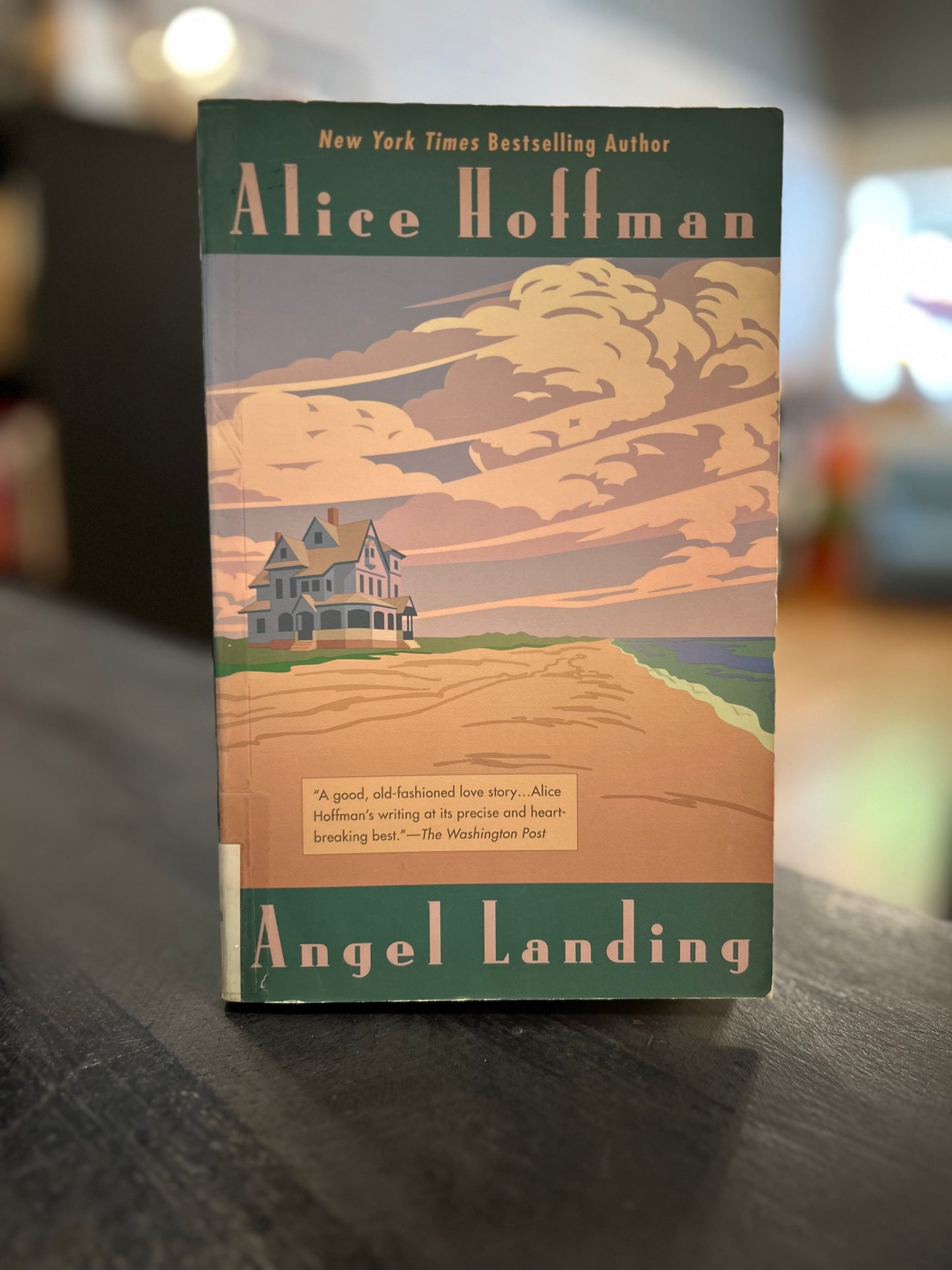 Angel Landing - Alice Hoffman