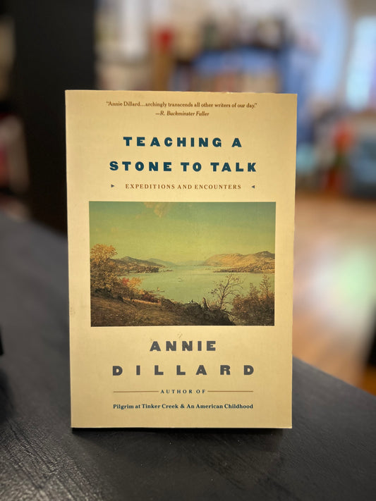 Teaching a Stone to Talk - Annie Dillard