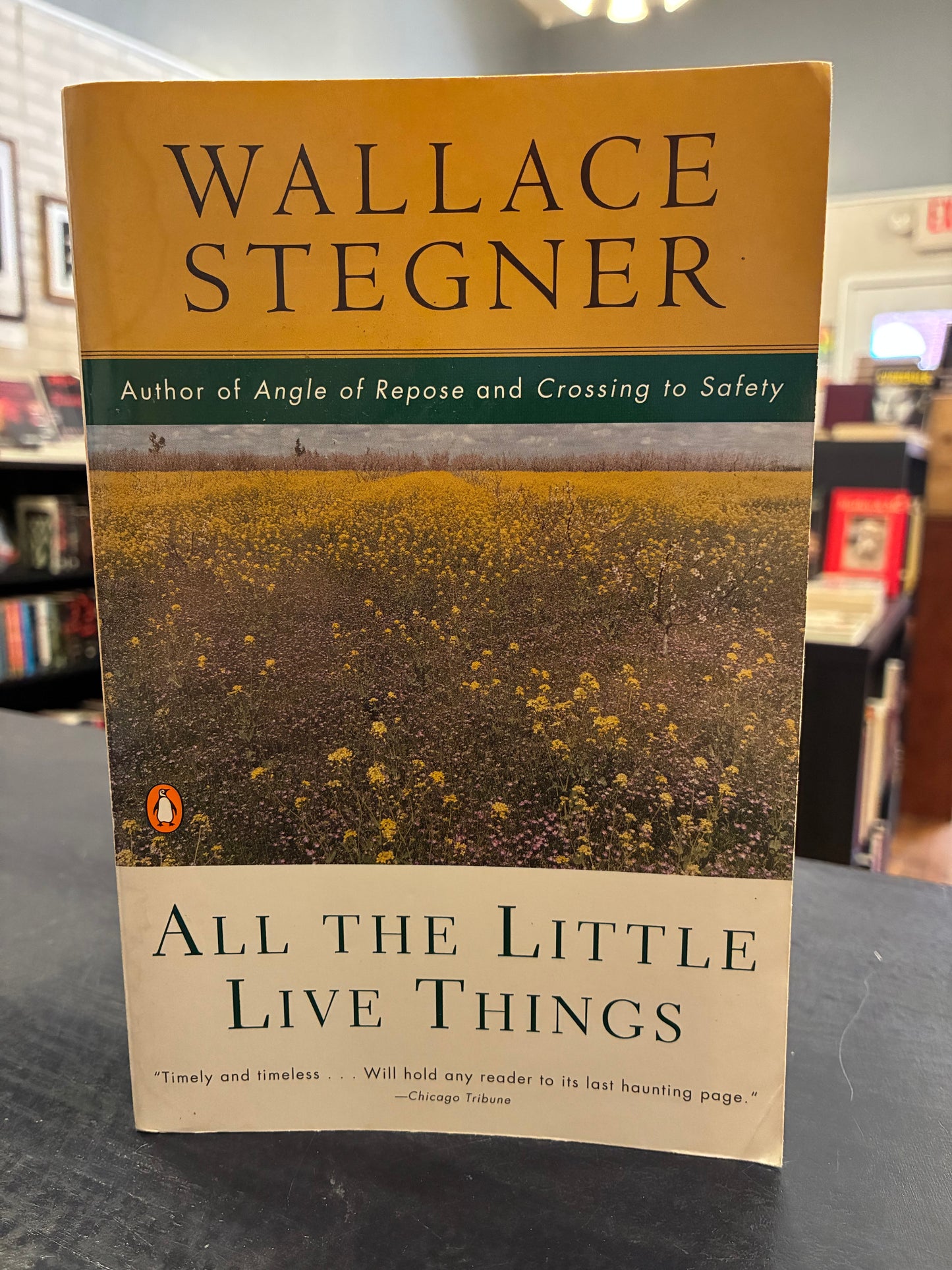 All the Little Live Things - Wallace Stegner