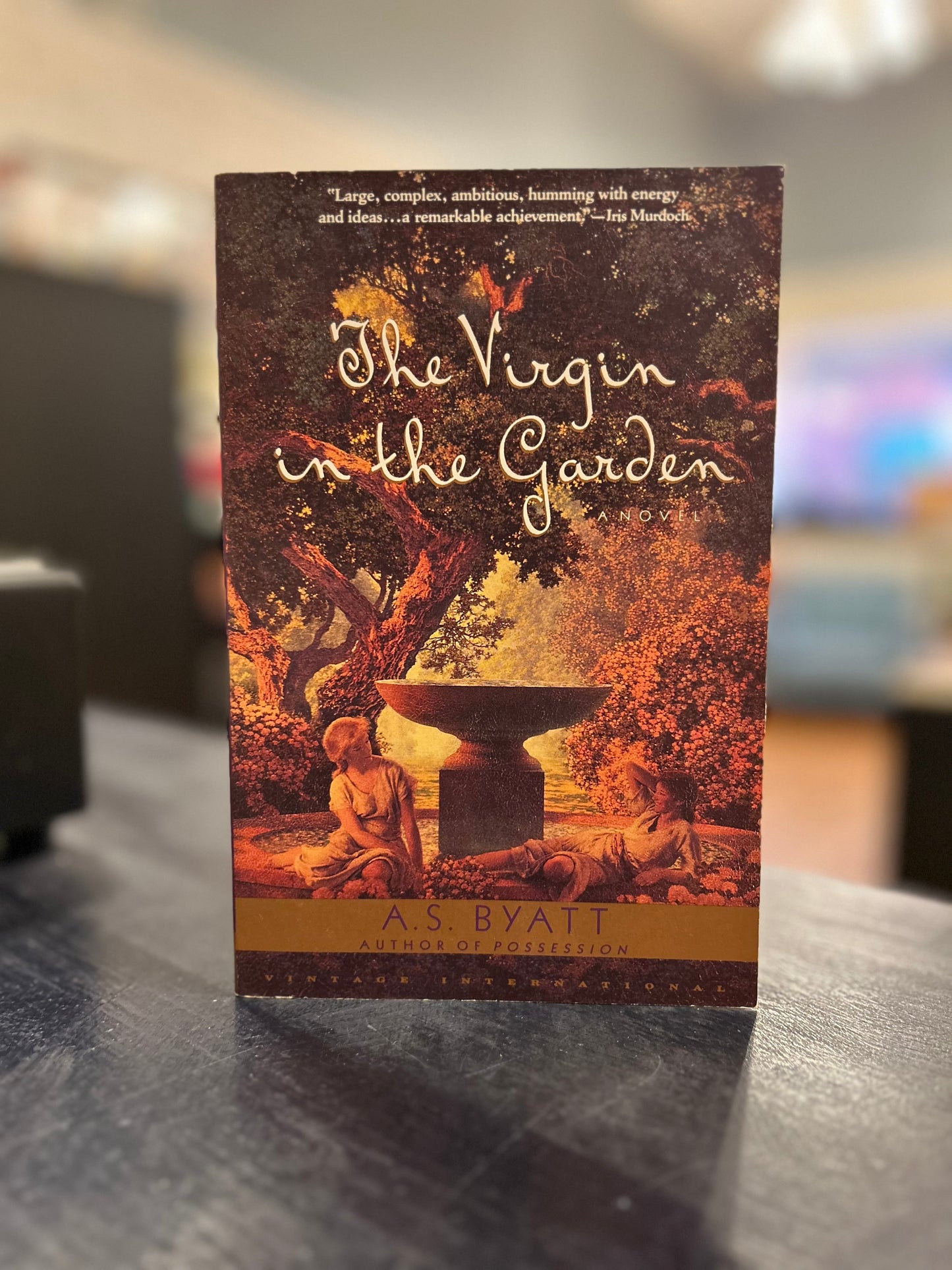The Virgin in the Garden by A.S. Byatt