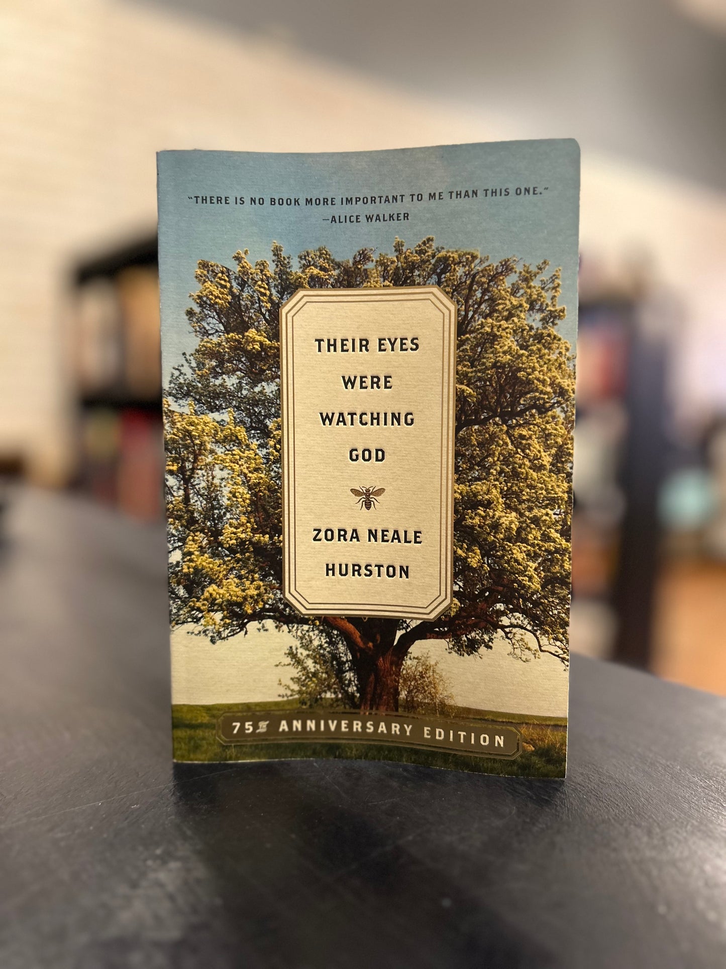 Their Eyes Were Watching God - Zora Neale Hurston