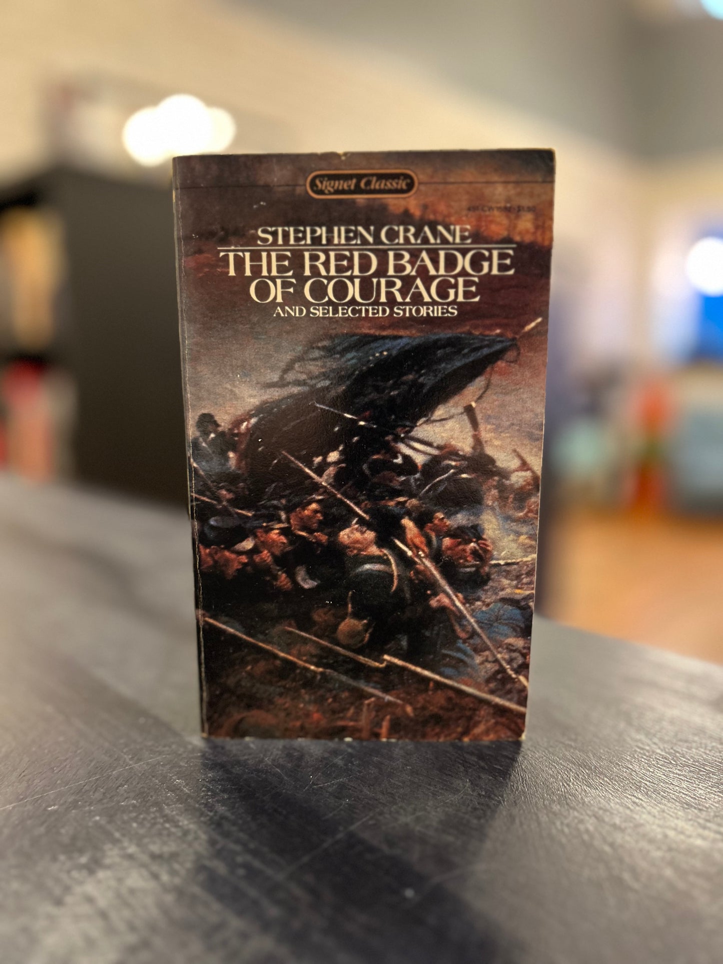 The Red Badge of Courage and Selected Stories - Stephen Crane