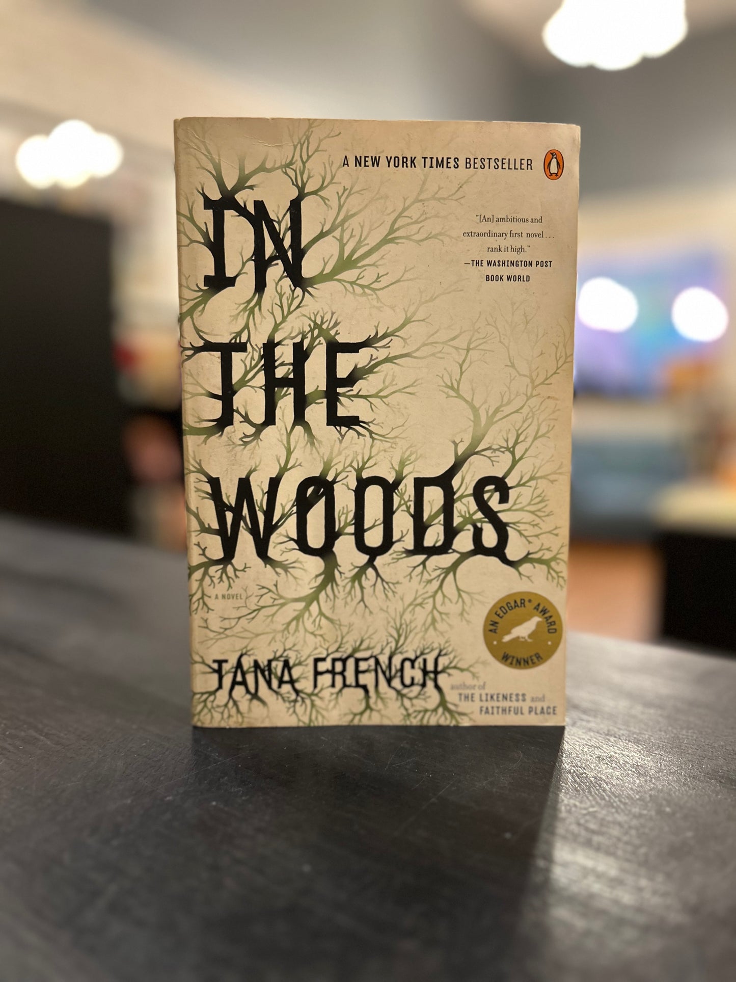 In The Woods - Tana French