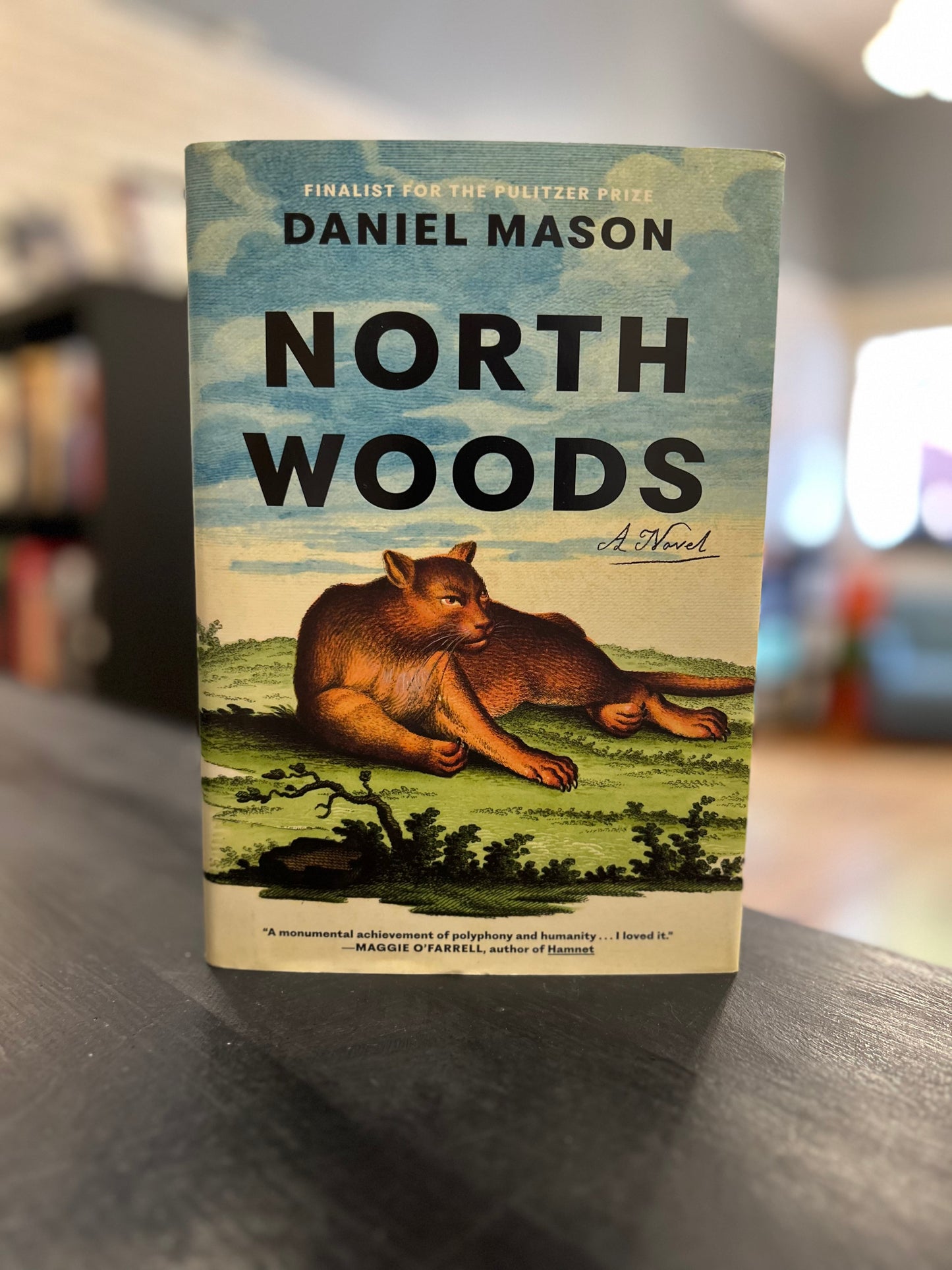 North Woods  - Daniel Mason