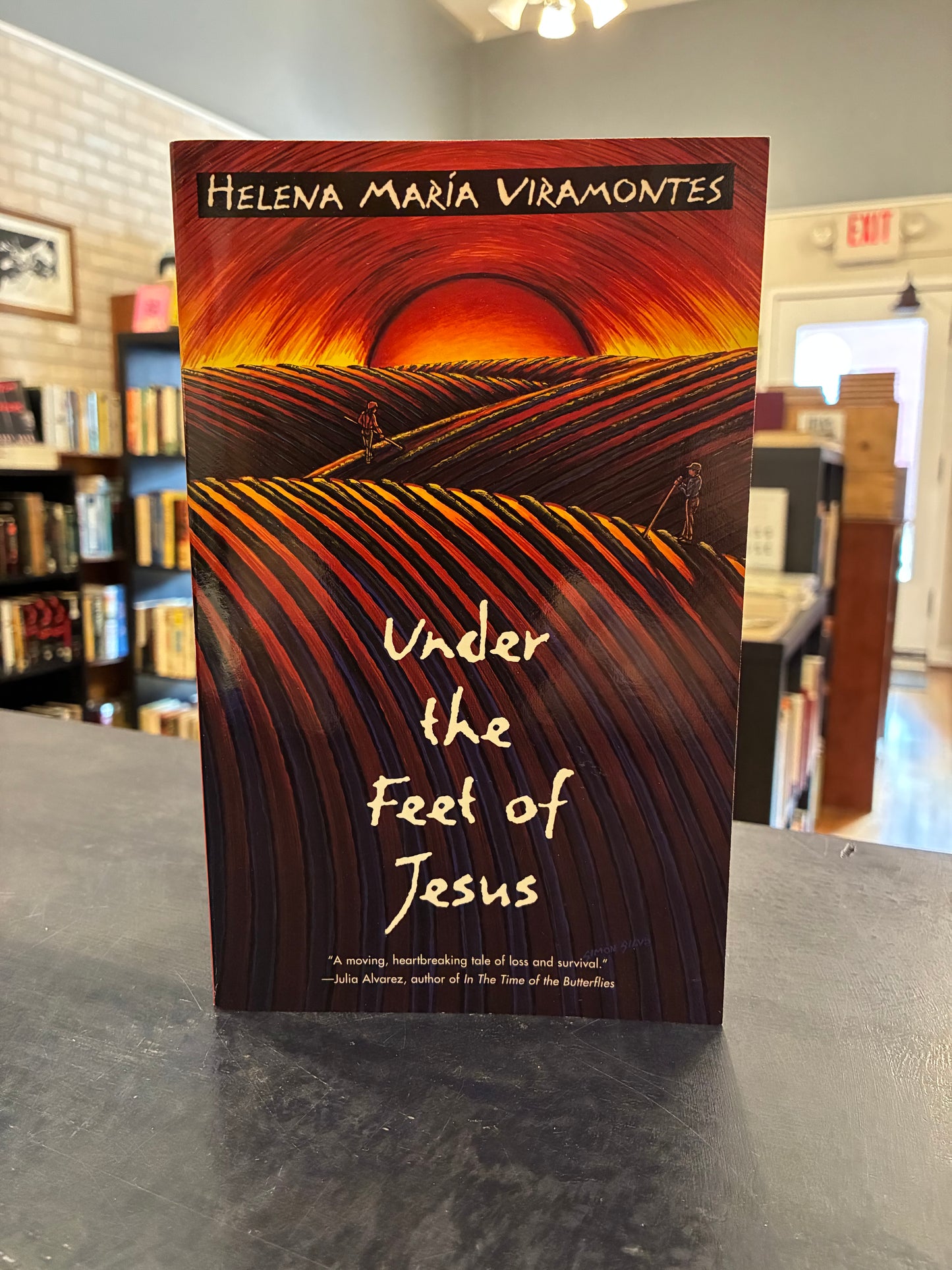 Under the Feet Of Jesus - Helena Maria Viramontes