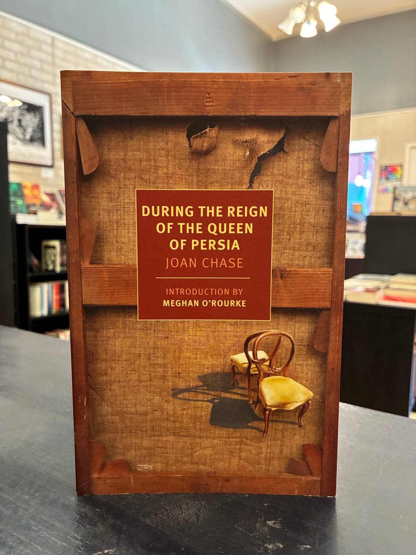 During the Reign of the Queen of Persia - Joan Chase