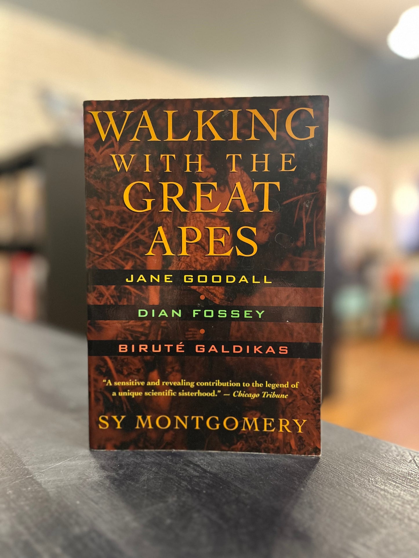Walking with the Great Apes by Jane Goodall, Dian Fossey, Birété Galdikas, and Sy Montgomery