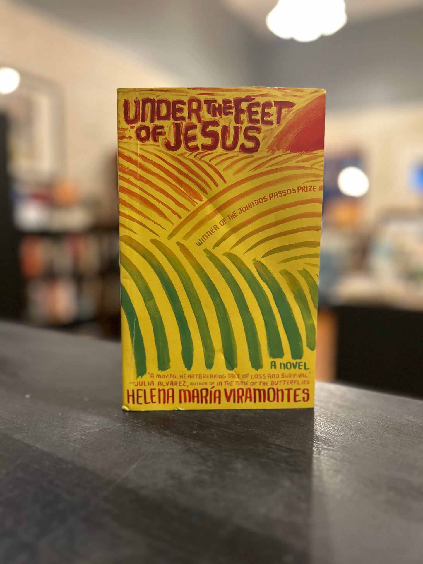 Under the Feet of Jesus by Helena Maria Viramontes