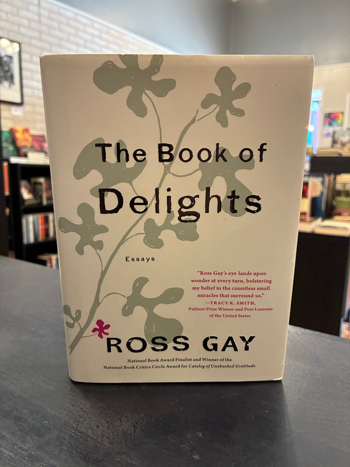 The Book of Delights essays by Ross Gay