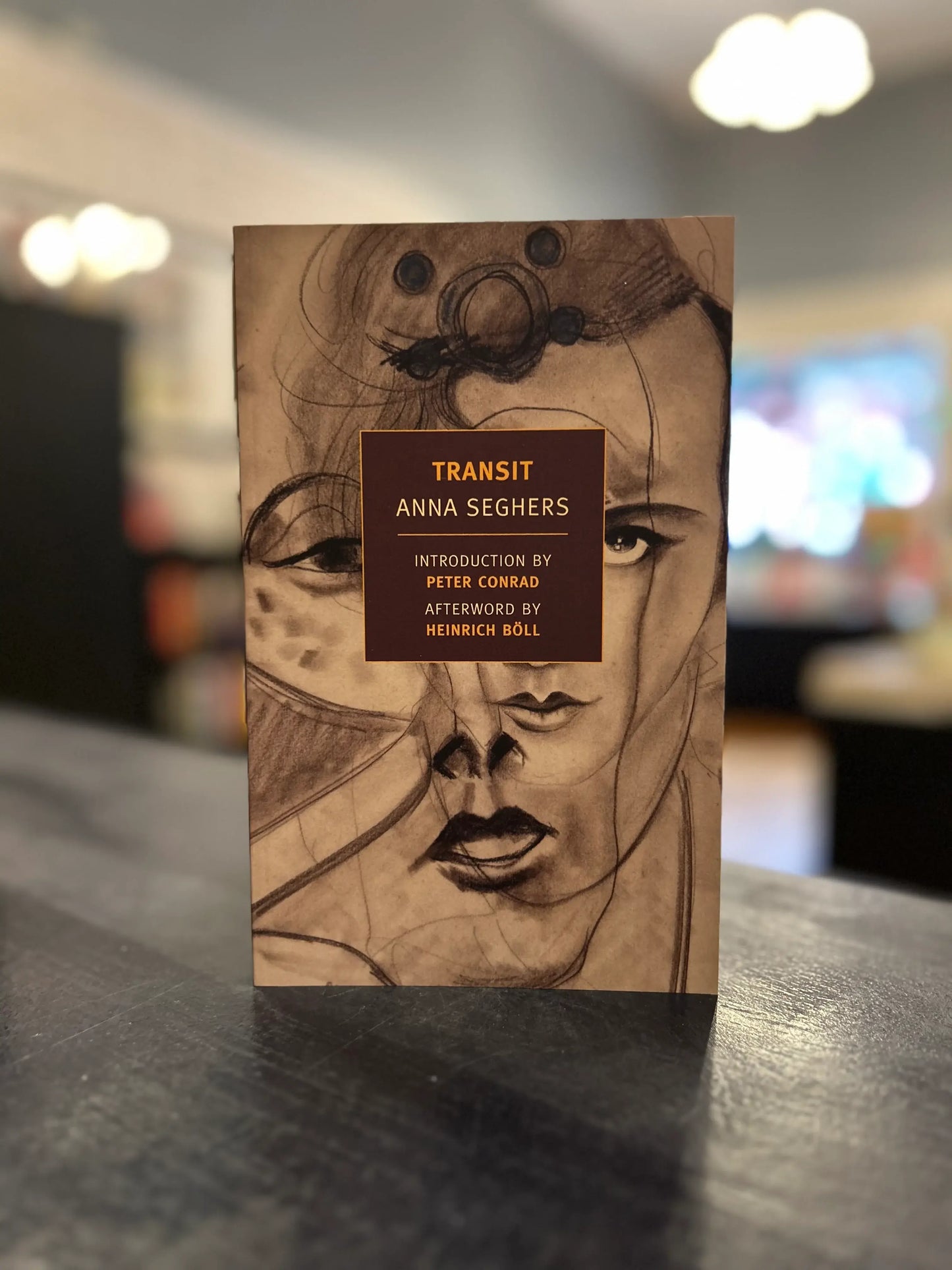Transit by Anna Seghers
