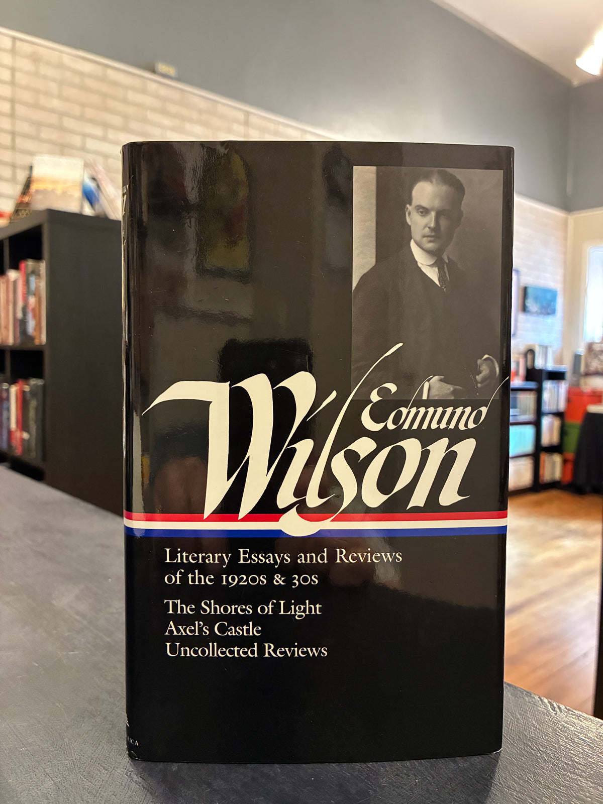 Edmund Wilson: Literary Essays and Reviews of the 1920s & 30s'
