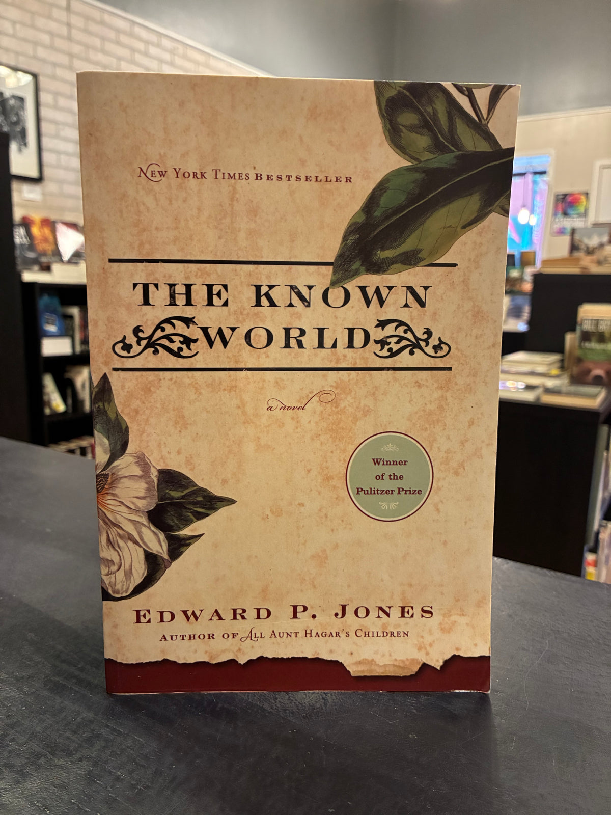 The Known World - Edward P Jones - Large paperback