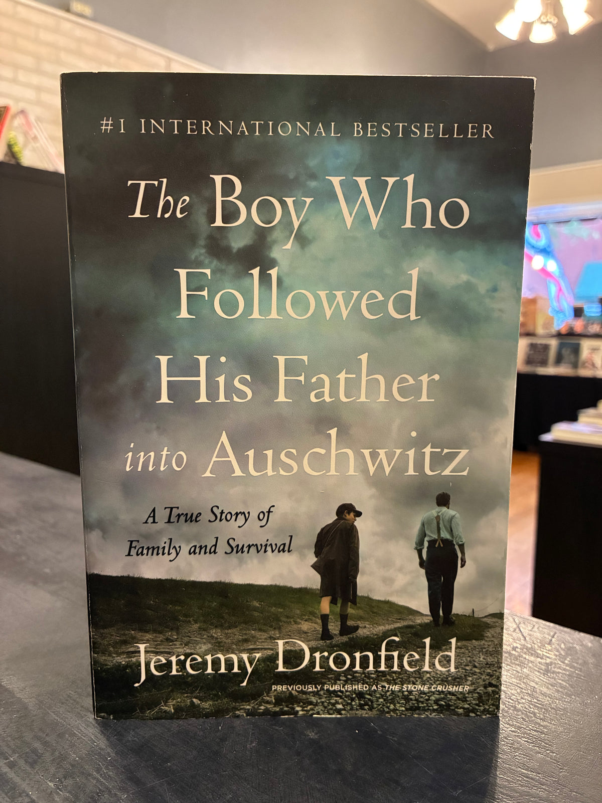 The Boy Who Followed His Father into Auschwitz - Jeremy Dronfield