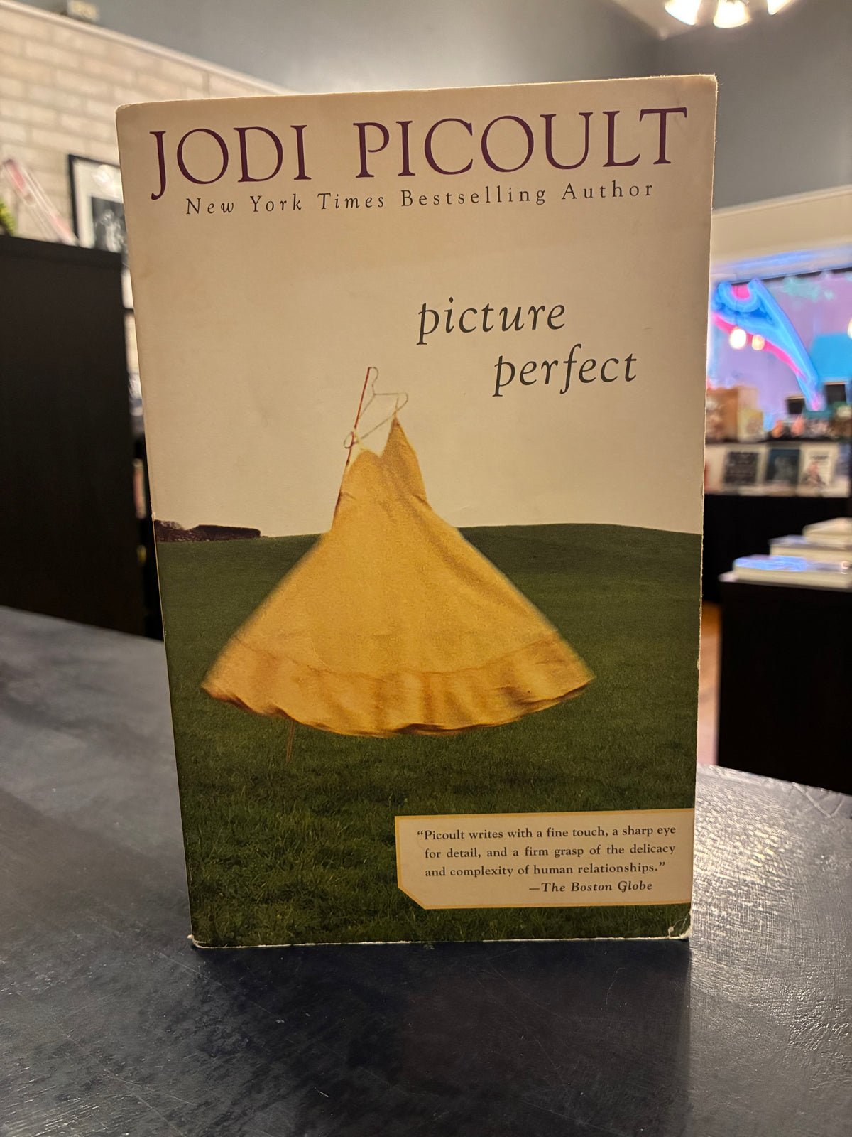 picture perfect - Jodi Picoult