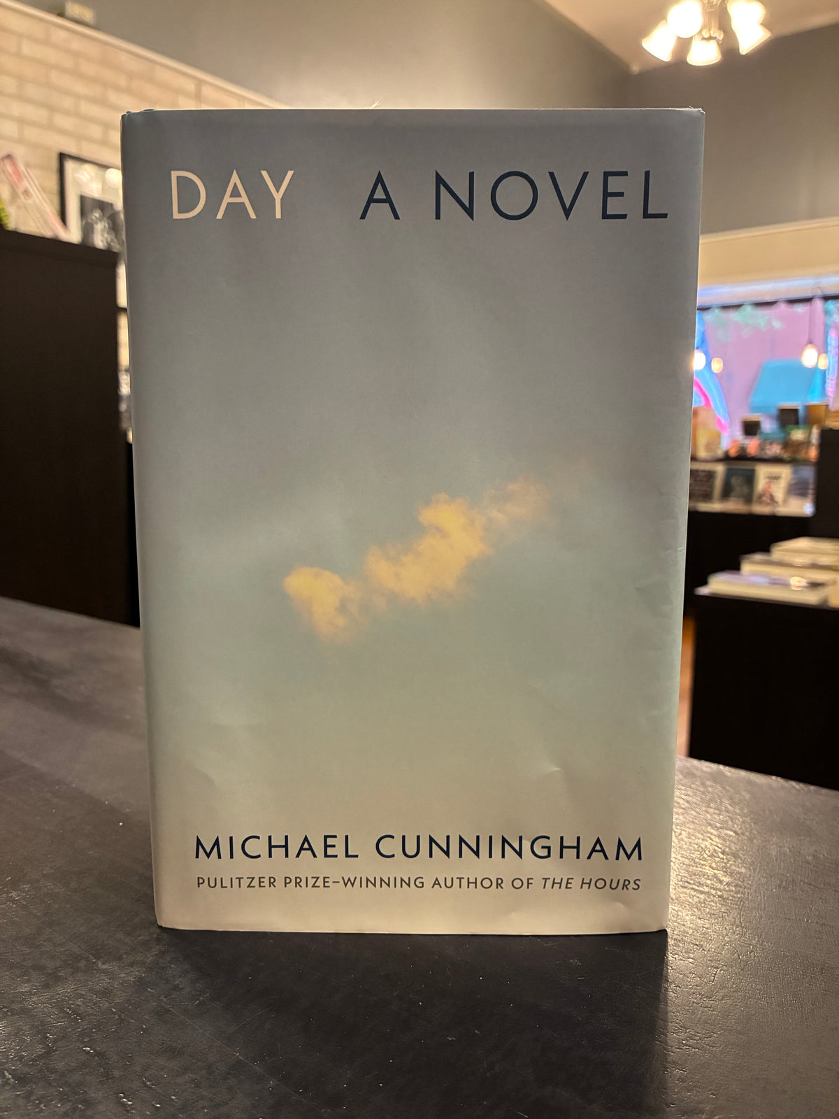 Day A Novel - Michael Cunningham